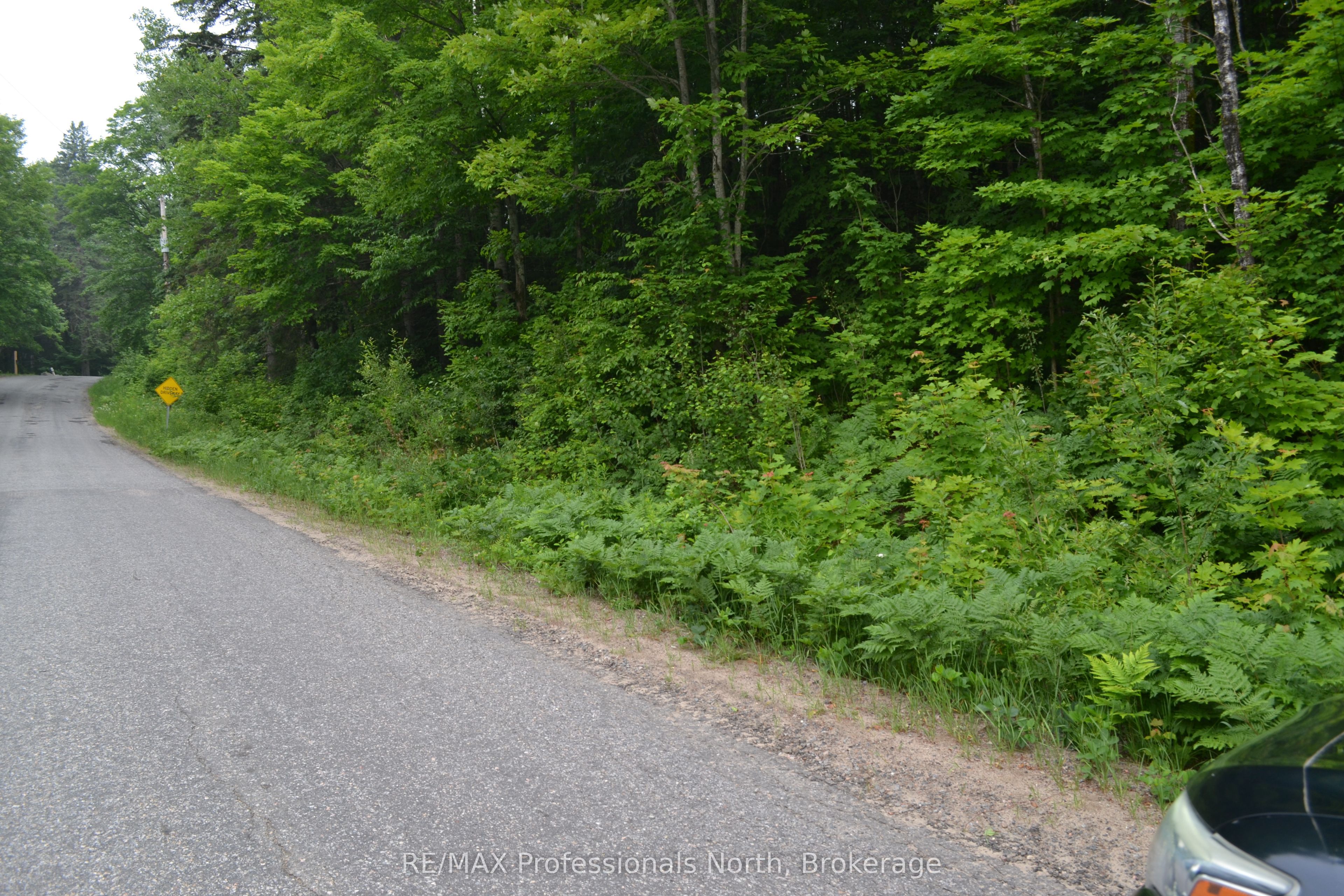 0 Fern Glen Road Property Photo 1