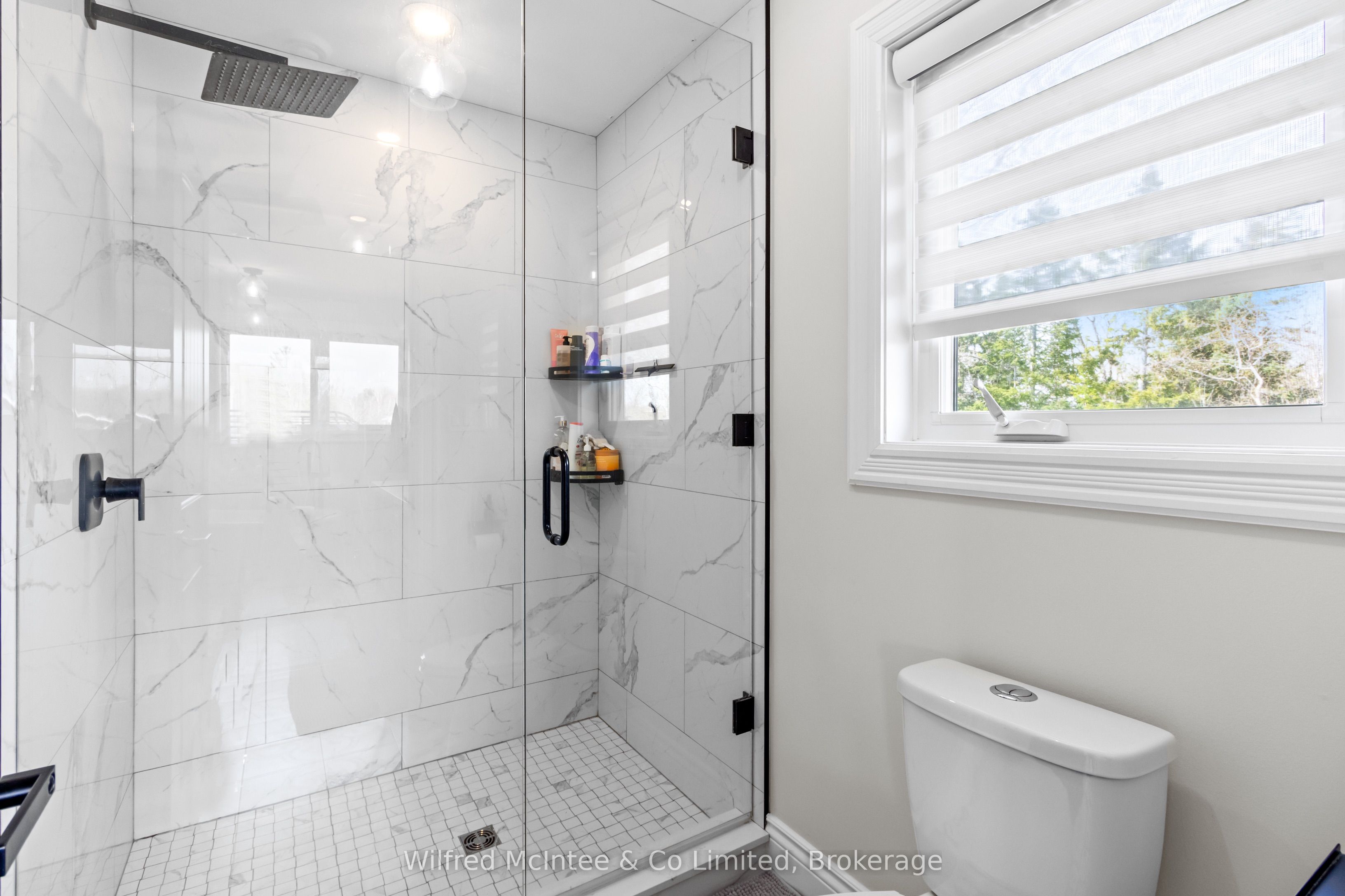 107 Ottawa Avenue Property Photo 25
