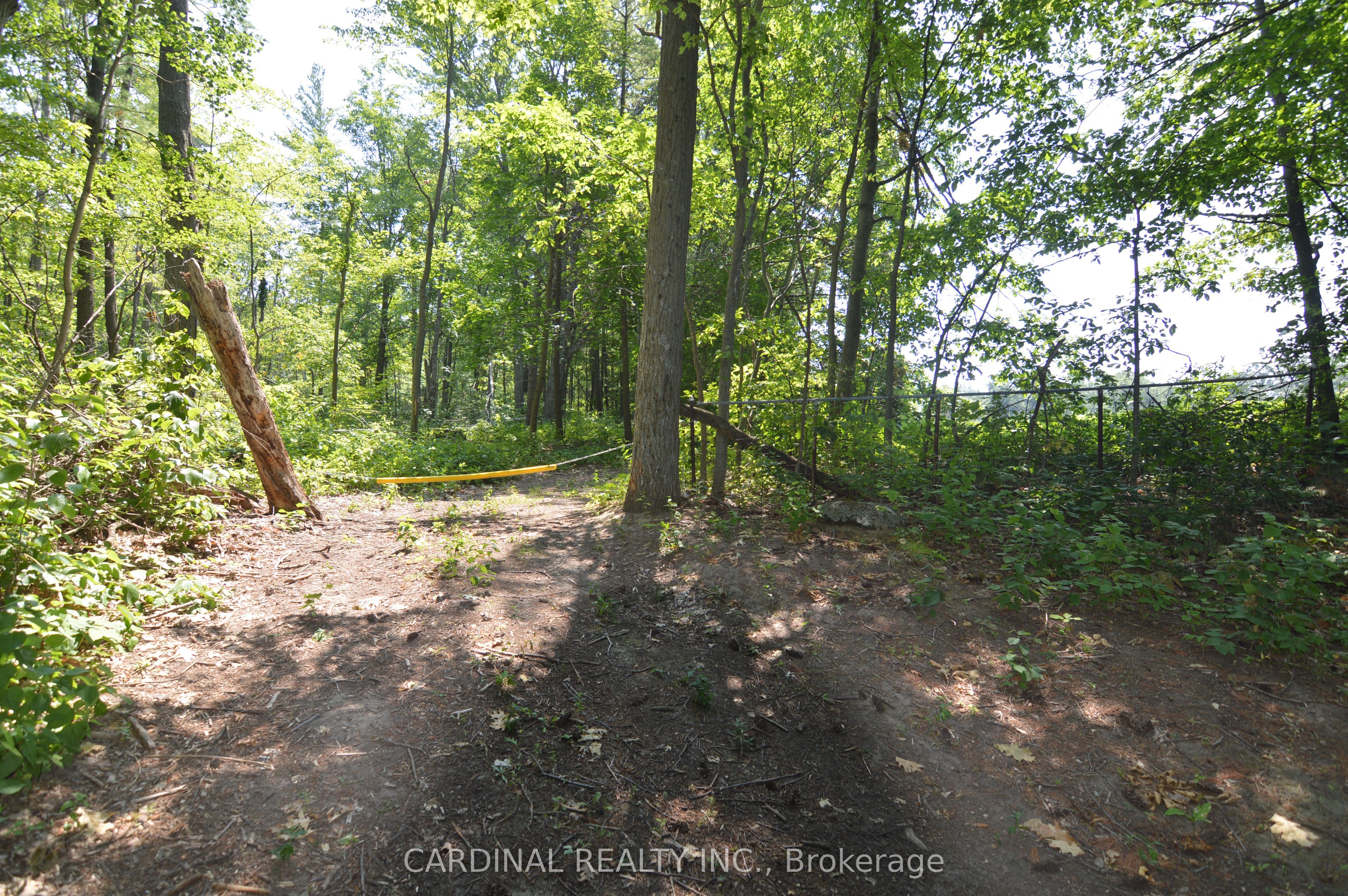 0 Browns/george - Vacant Lot Road Property Photo 2