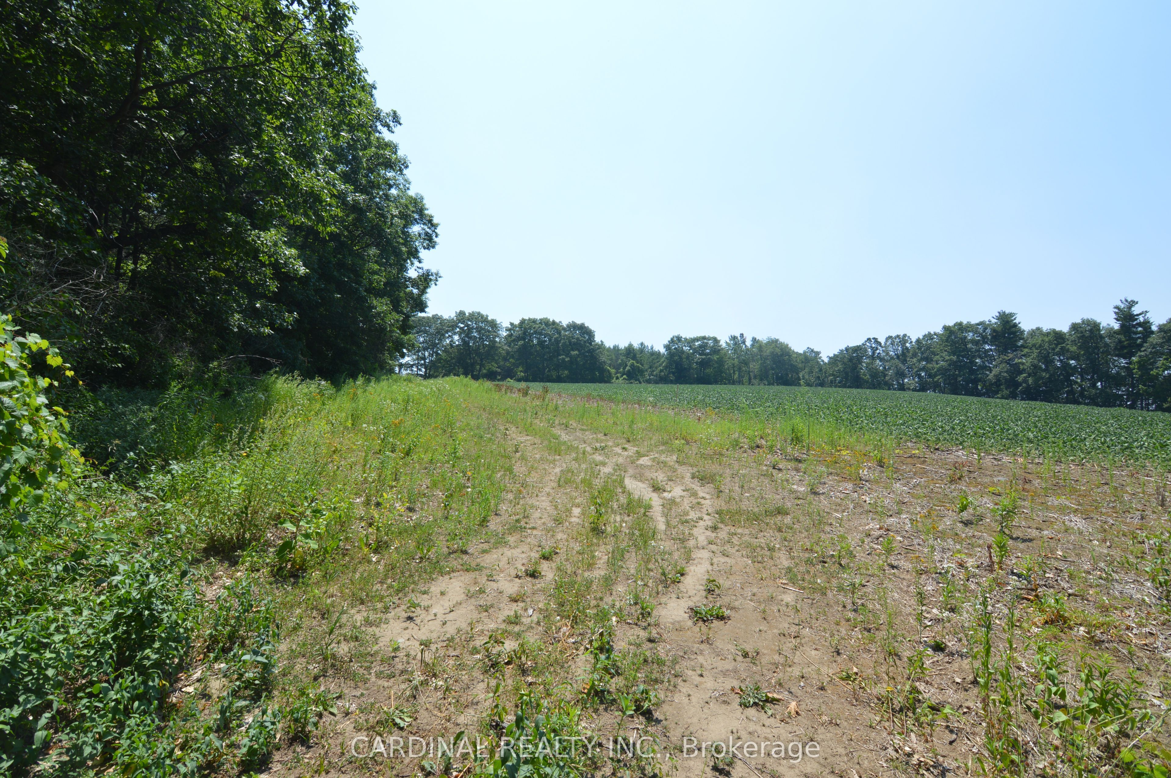 0 Browns/george - Vacant Lot Road Property Photo 3