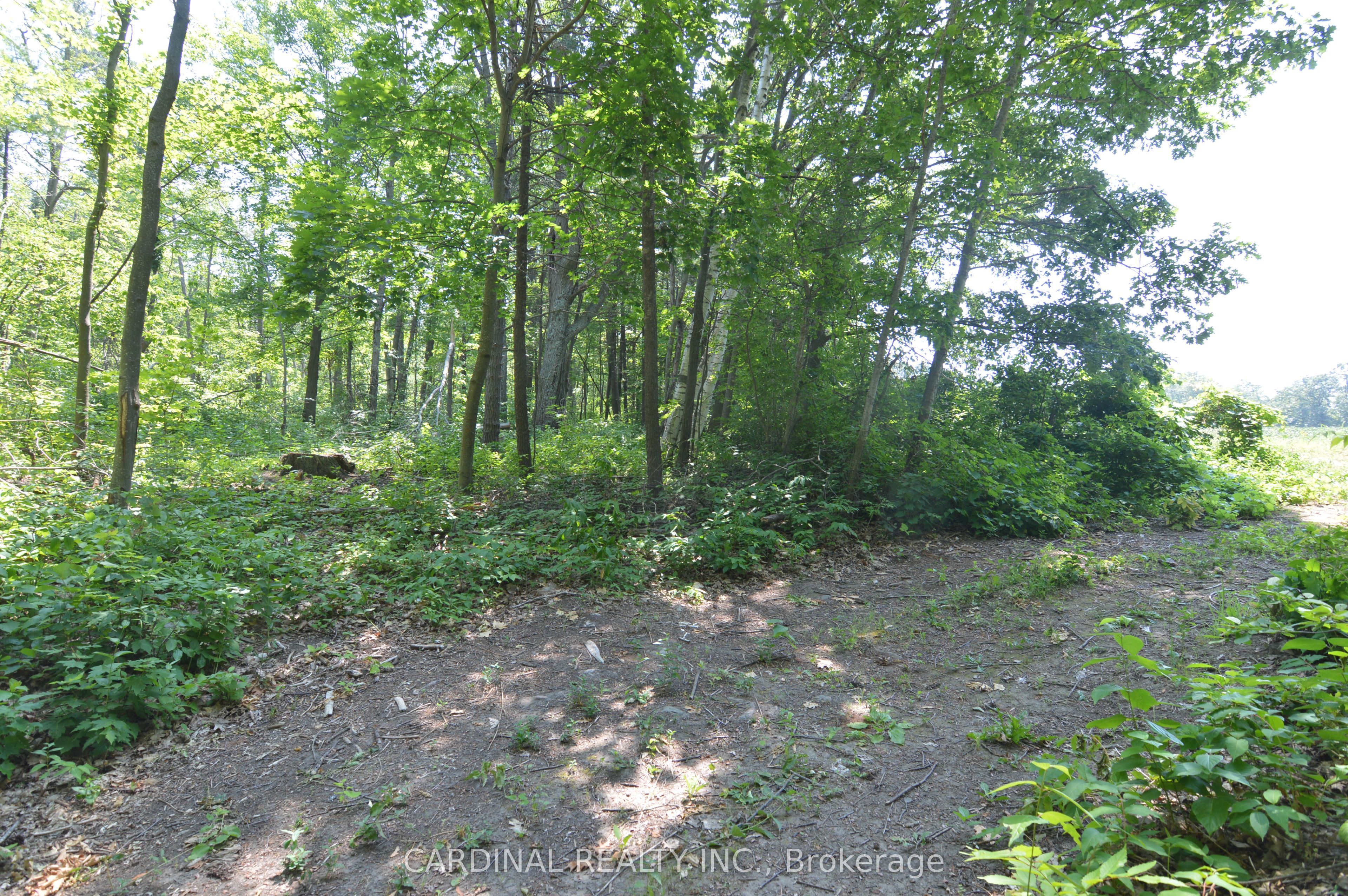 0 Browns/george - Vacant Lot Road Property Photo 4