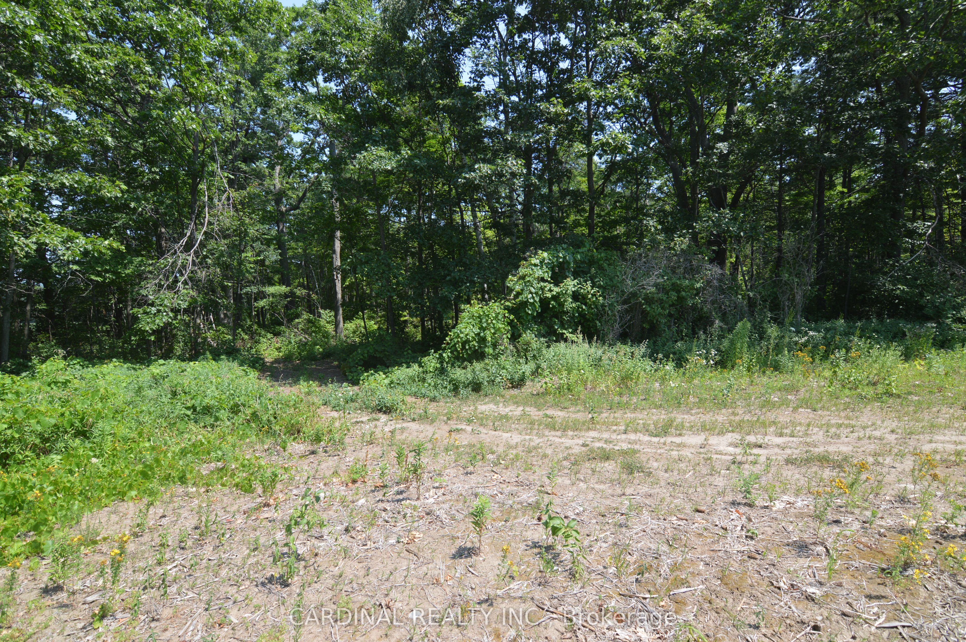 0 Browns/george - Vacant Lot Road Property Photo 5