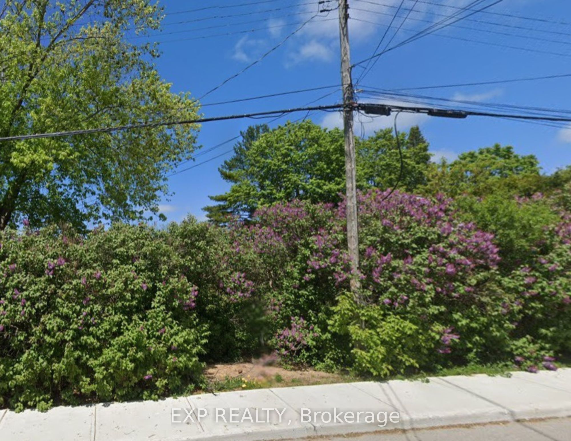 242 Victoria Street Property Photo 1