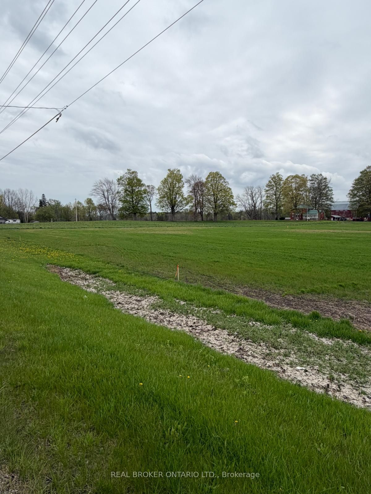 4929 Highway 59 Lot B Property Photo 2