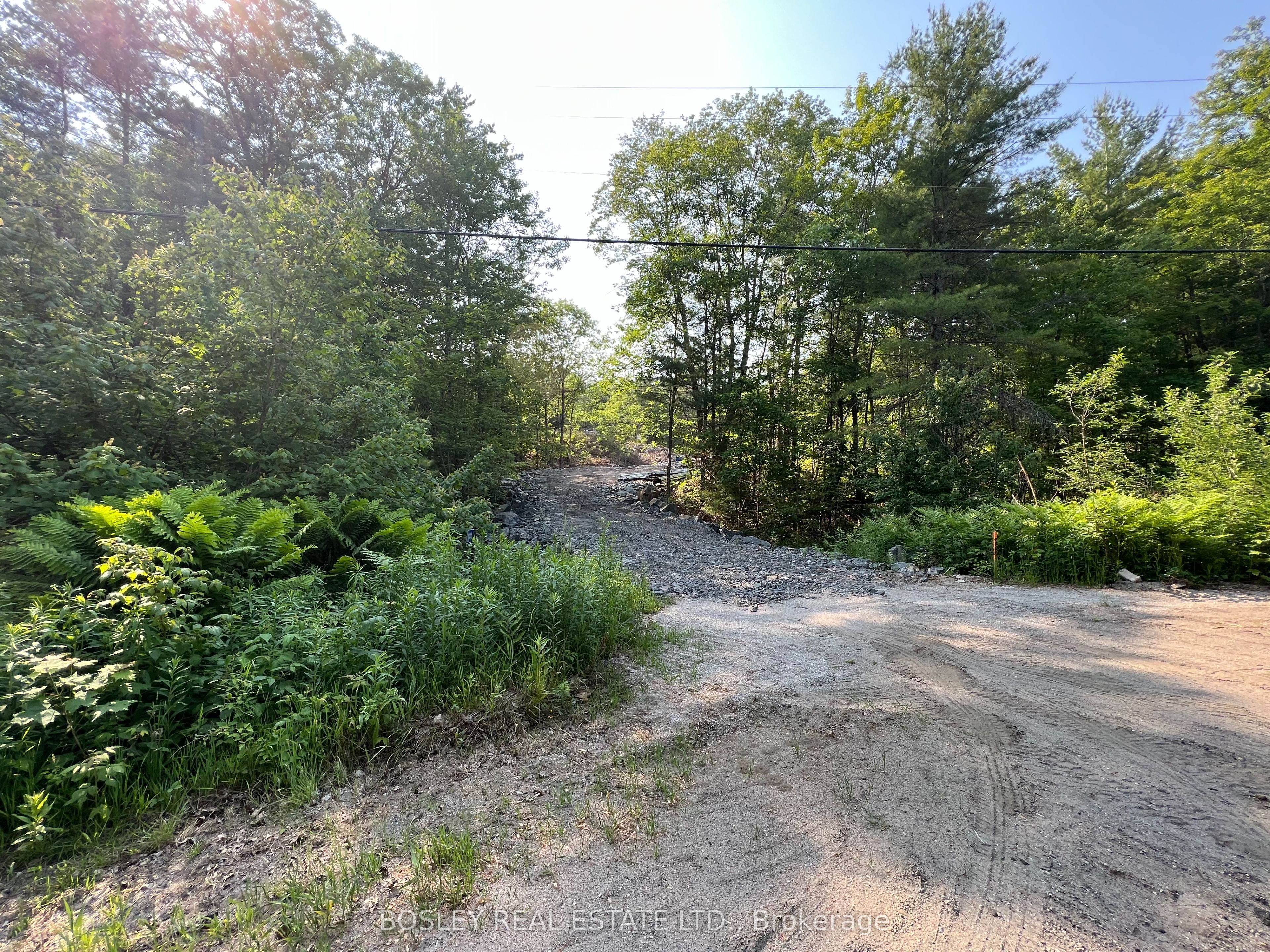 1874 Highway 11 N Property Photo 1