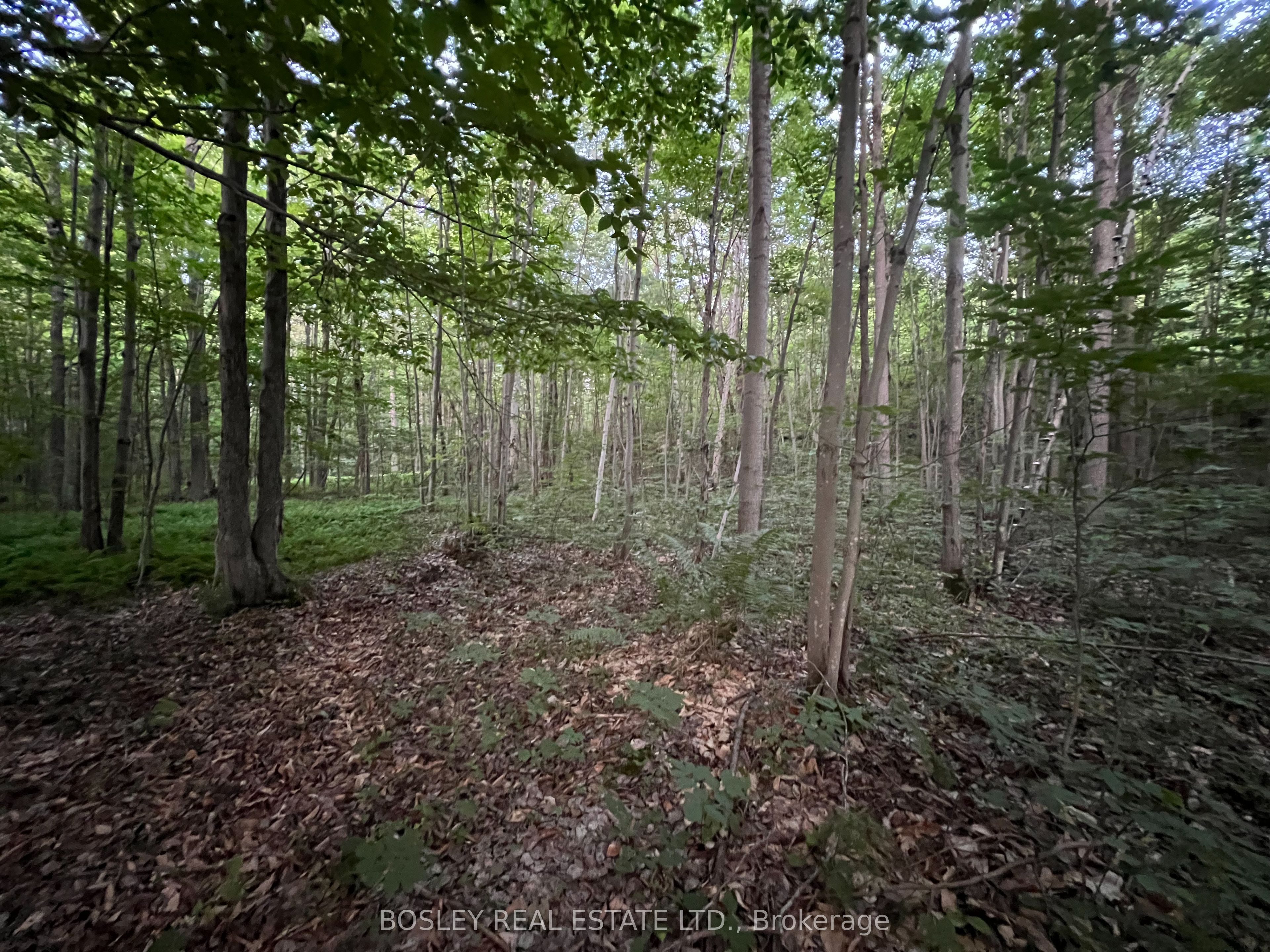 1874 Highway 11 N Property Photo 3