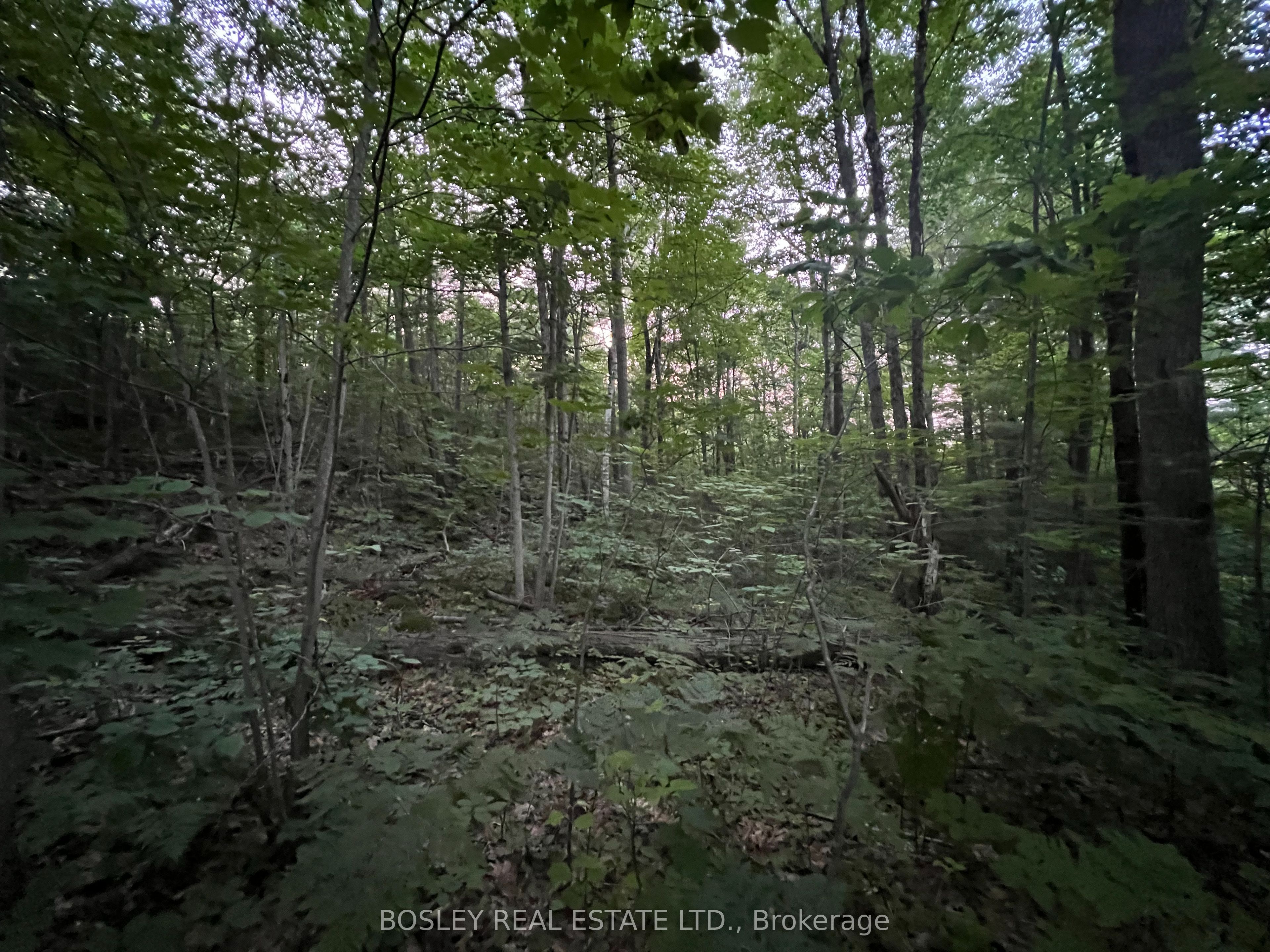 1874 Highway 11 N Property Photo 4