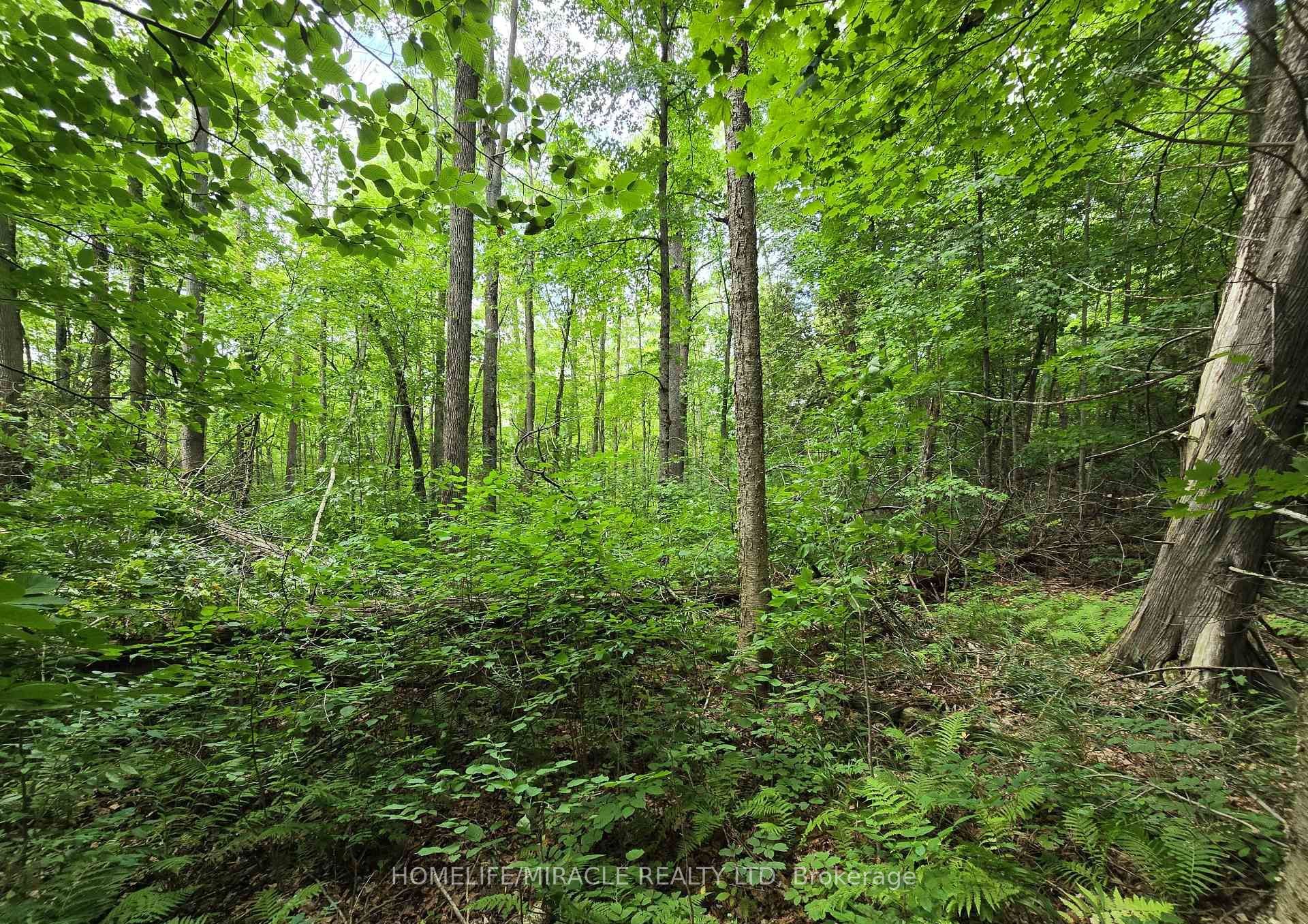 000 Cedar Sands Road Property Photo 1