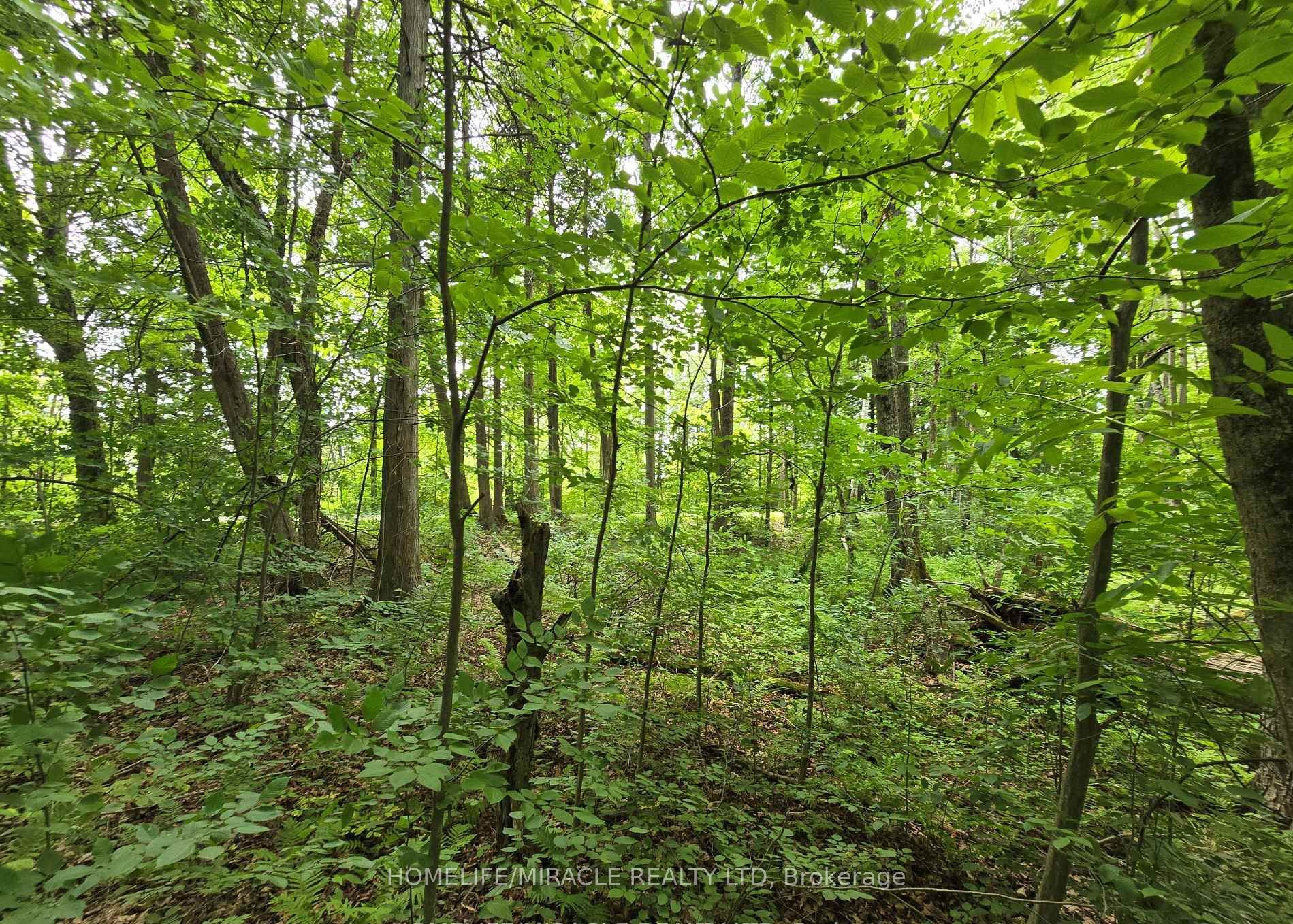 000 Cedar Sands Road Property Photo 2