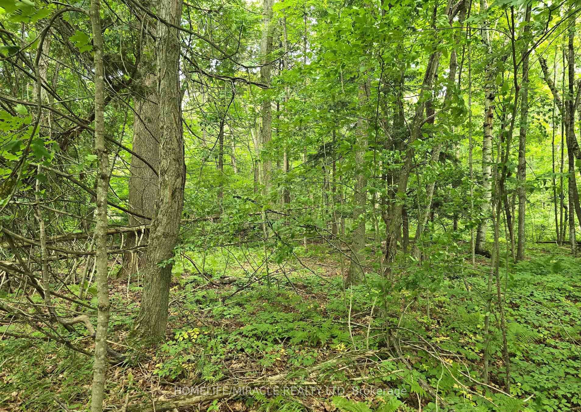 000 Cedar Sands Road Property Photo 3
