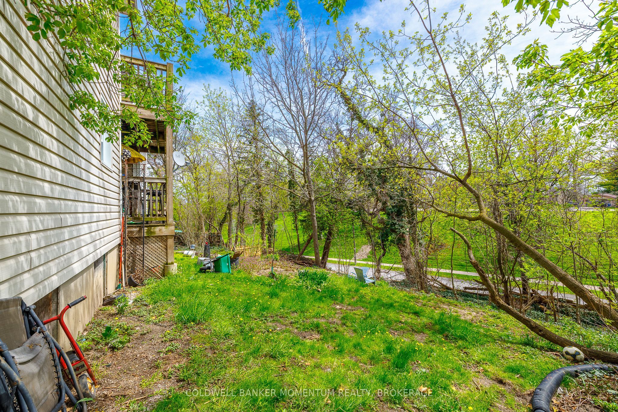 17 Hainer Street Property Photo 17