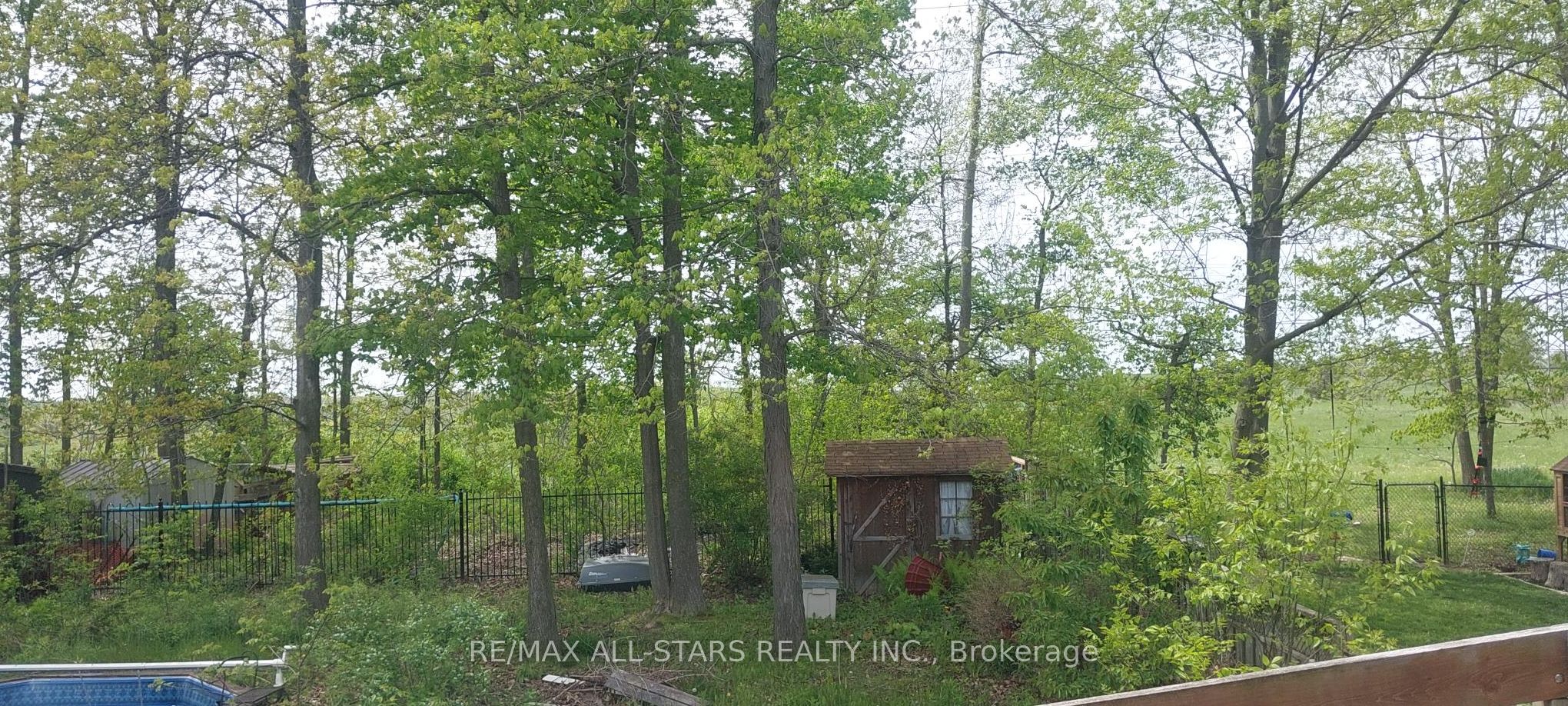 167 Williamson Drive Property Photo 34