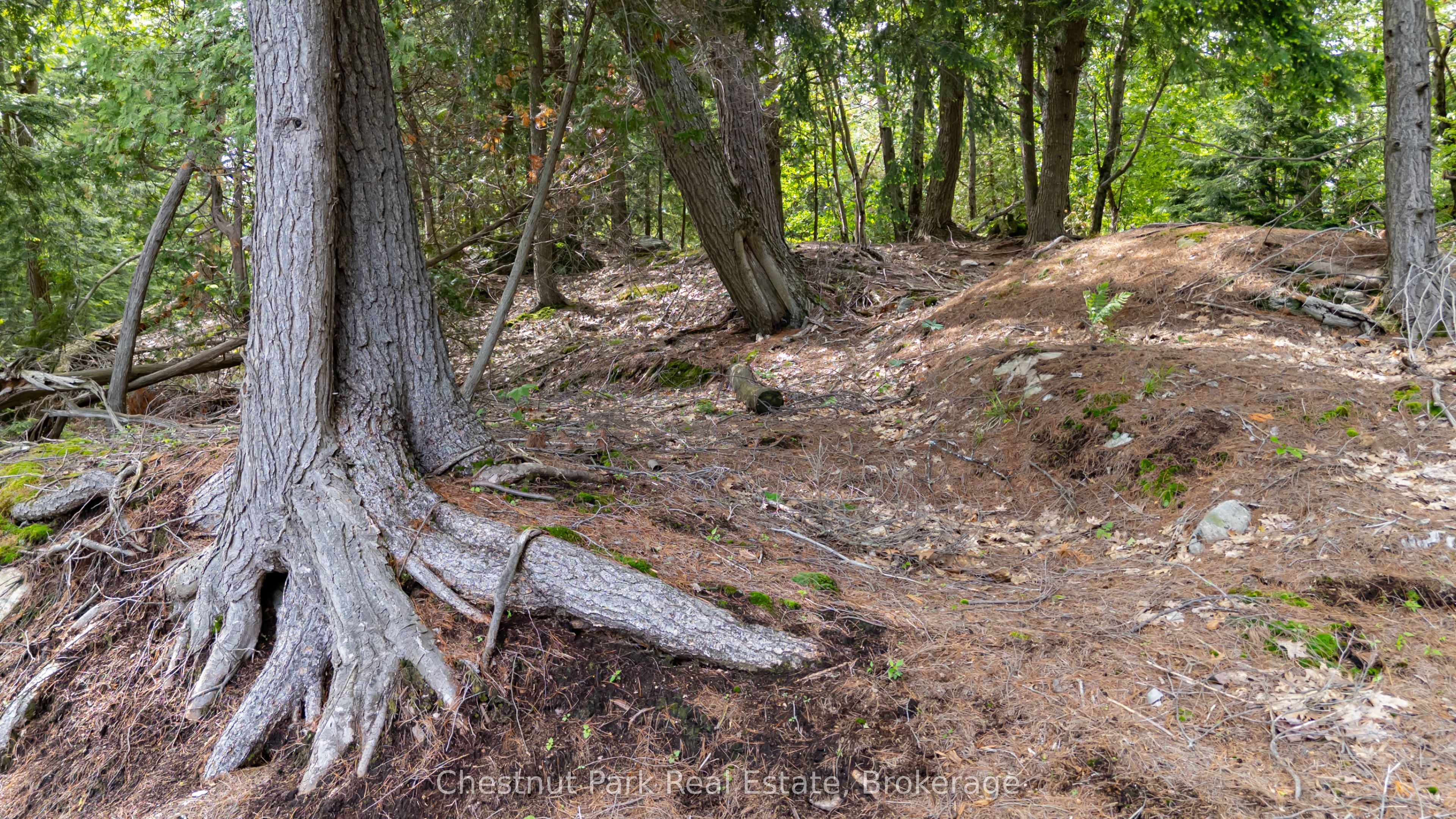 0 Meda Island Lot 4 Property Photo 3