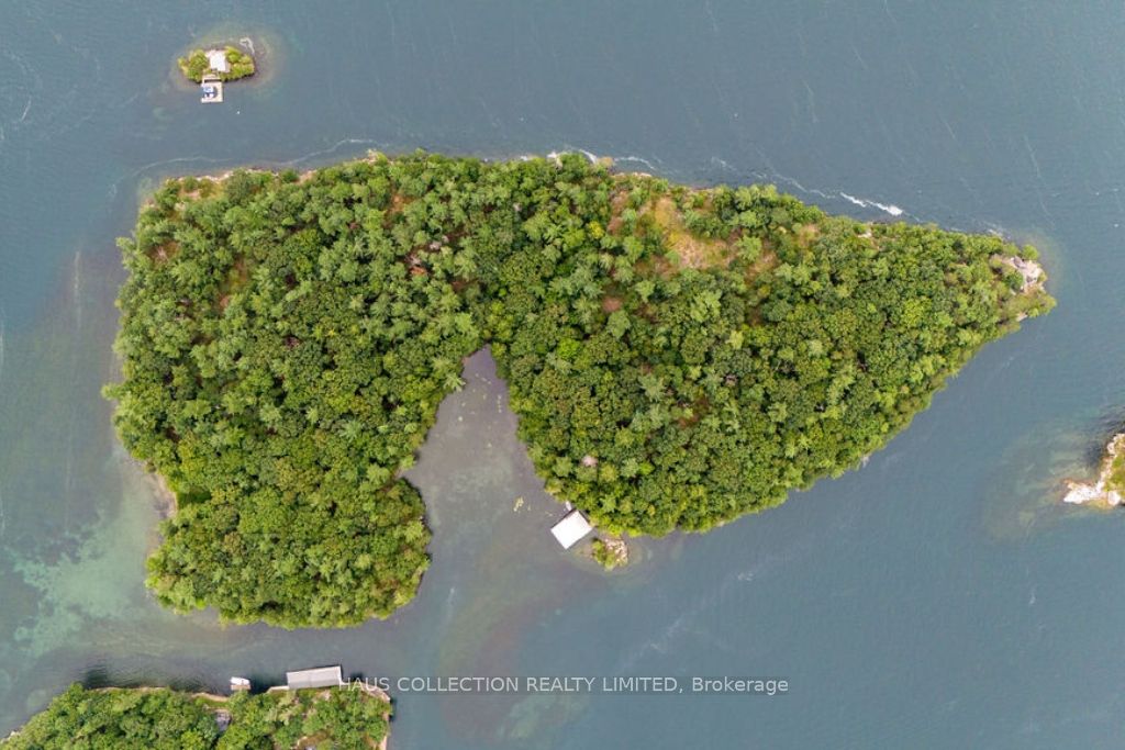 1 Little Grenadier Island Property Photo 43