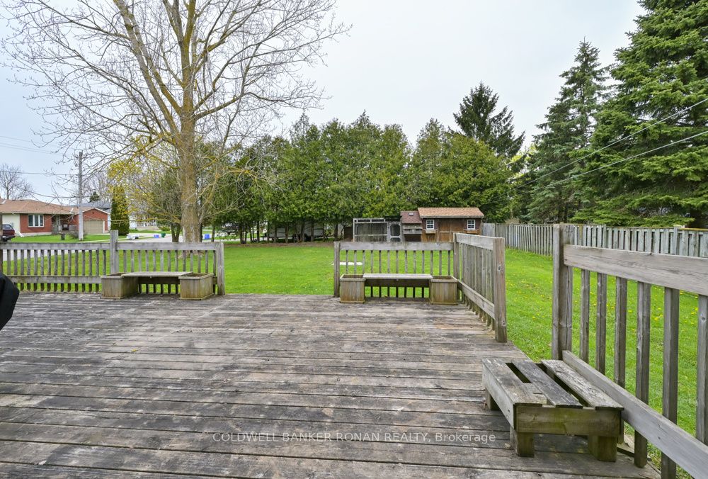 56 Edward Street Property Photo 20