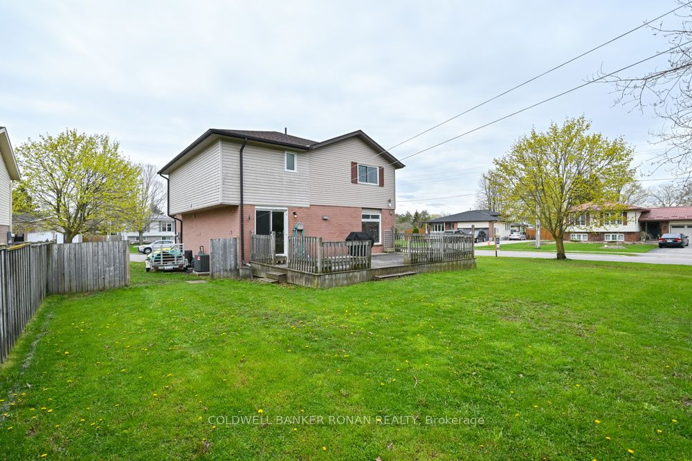 56 Edward Street Property Photo 22