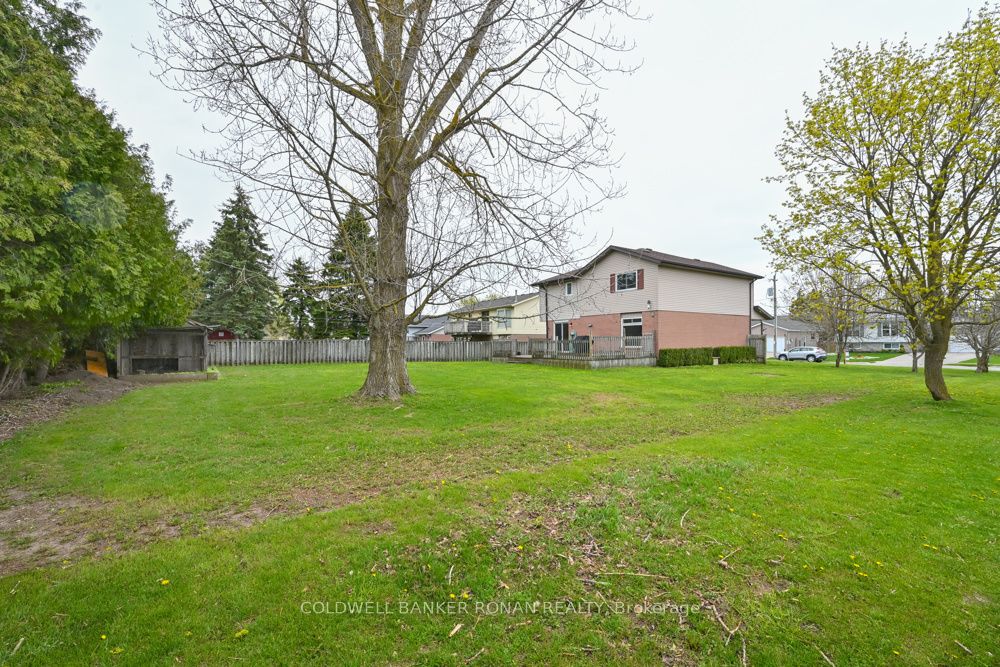 56 Edward Street Property Photo 23
