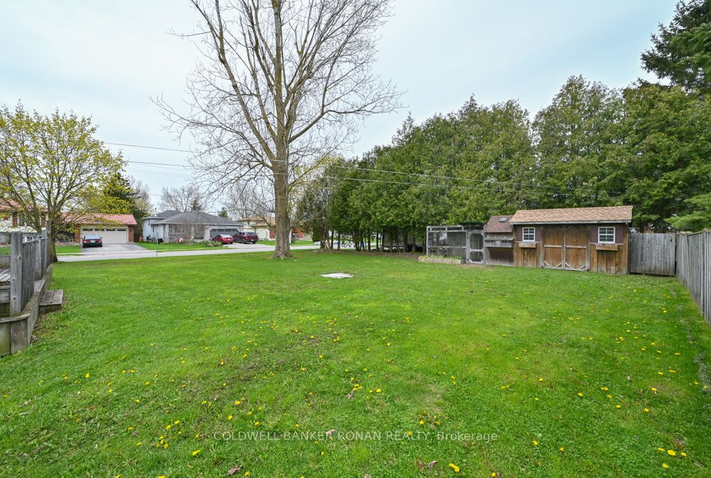 56 Edward Street Property Photo 25