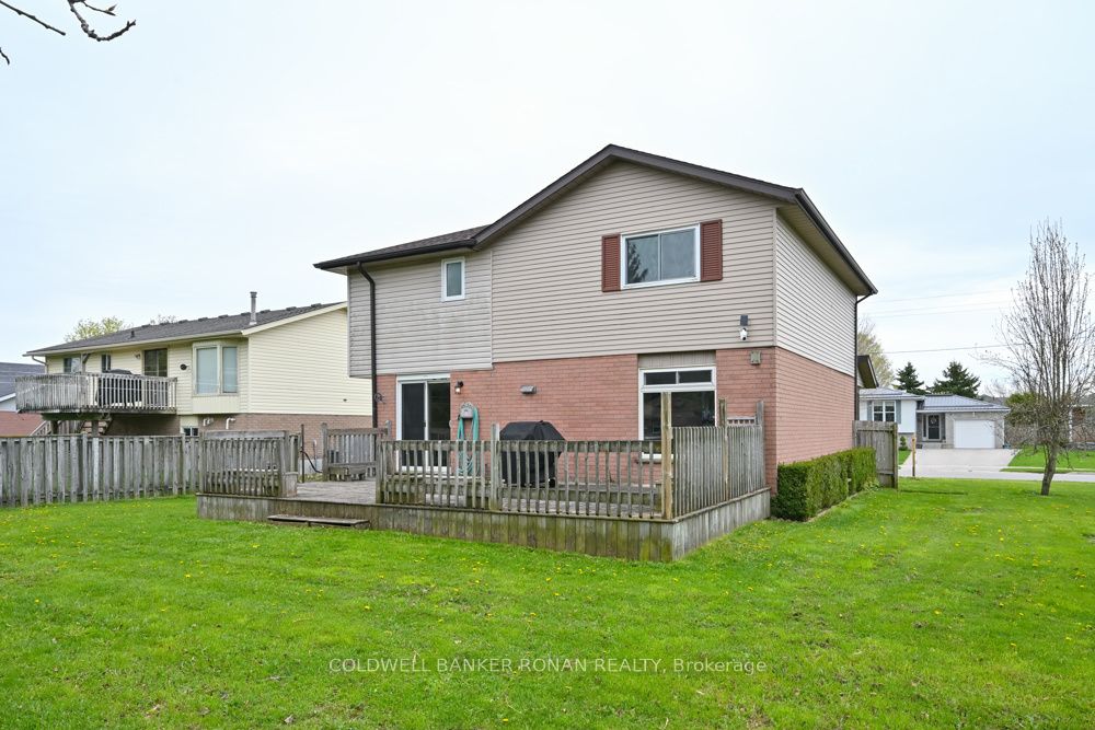 56 Edward Street Property Photo 26