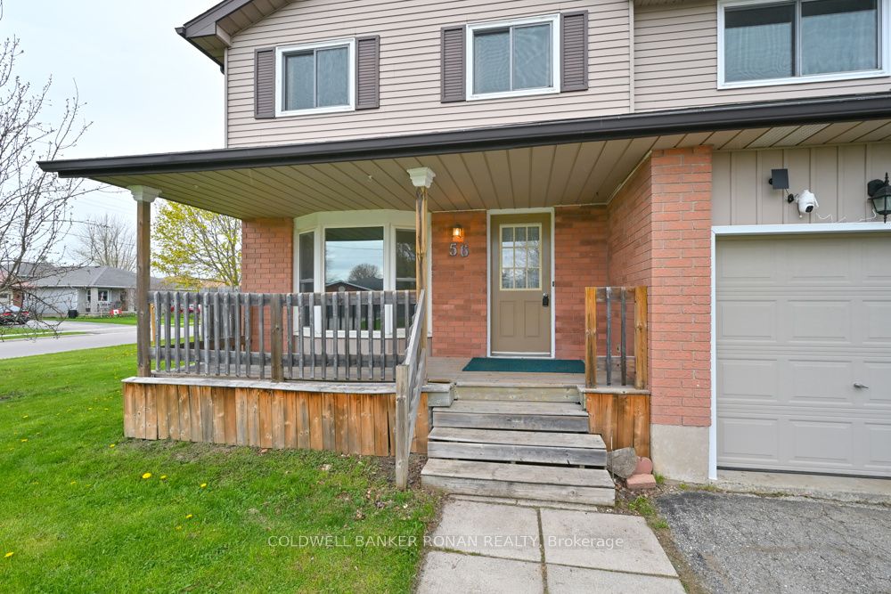56 Edward Street Property Photo 27