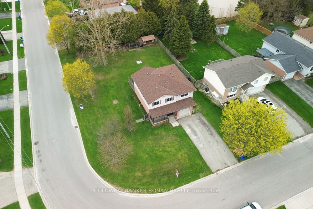 56 Edward Street Property Photo 28