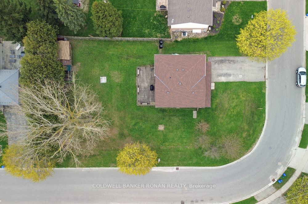 56 Edward Street Property Photo 33
