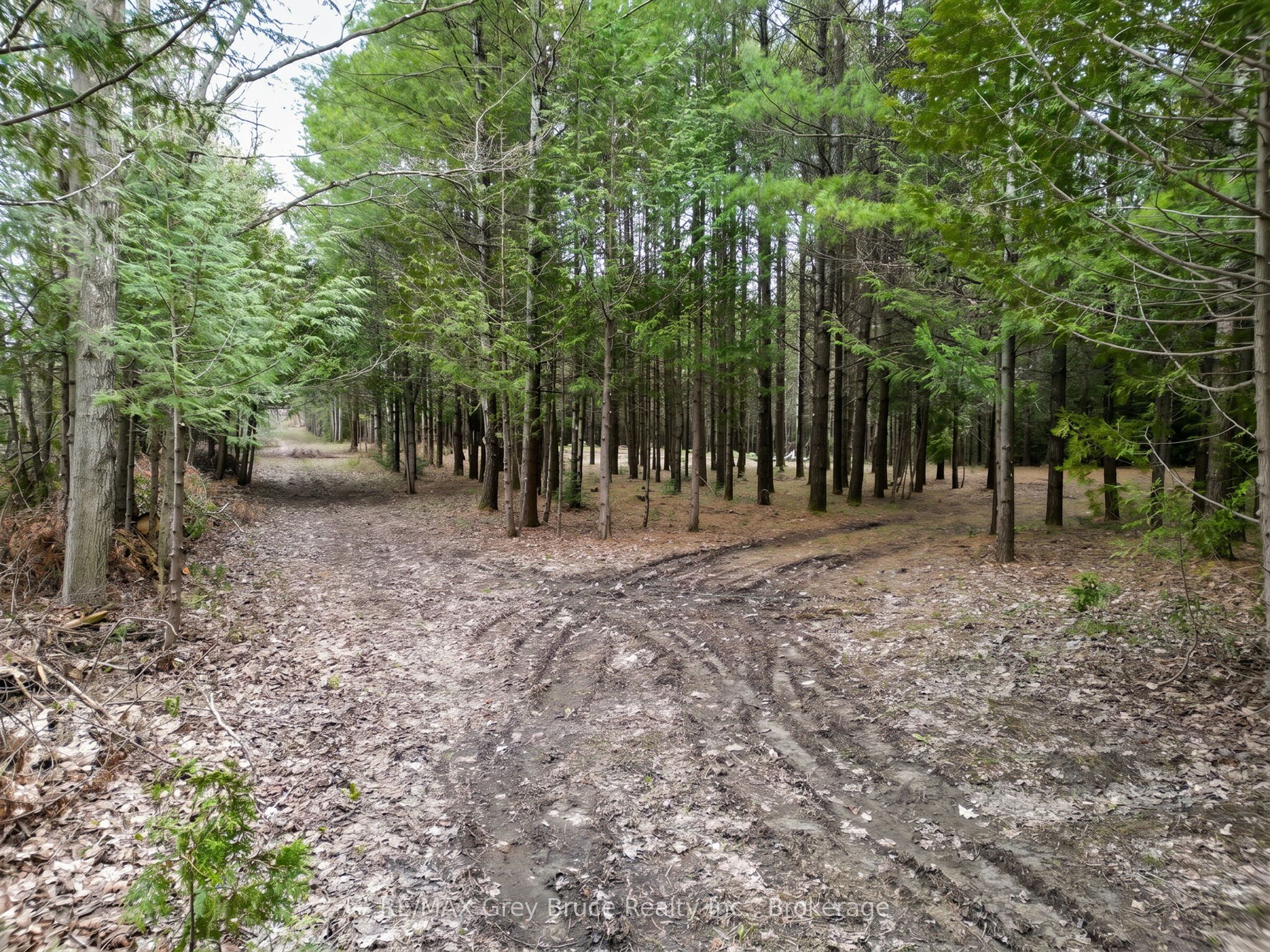 523782 Concession 12 Road Property Photo 2