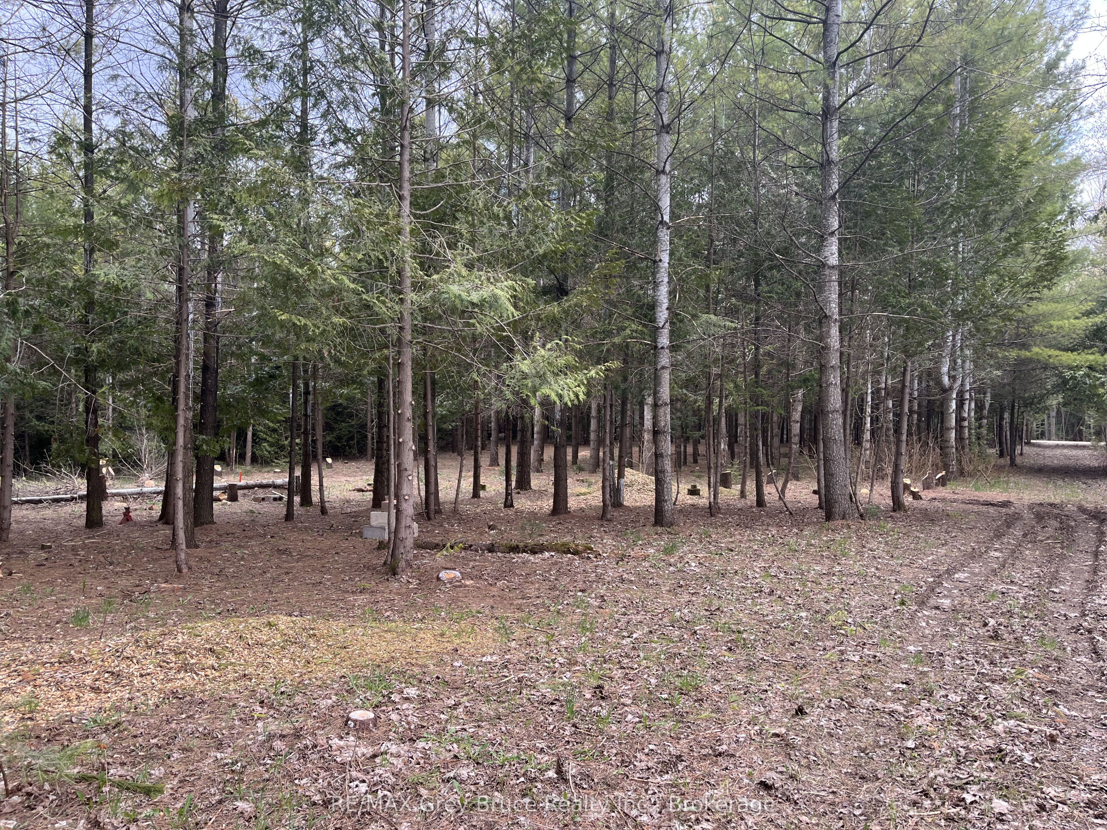 523782 Concession 12 Road Property Photo 3