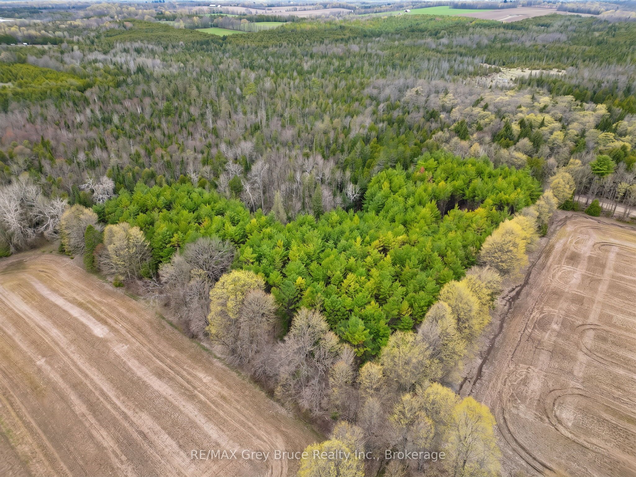 523782 Concession 12 Road Property Photo 9