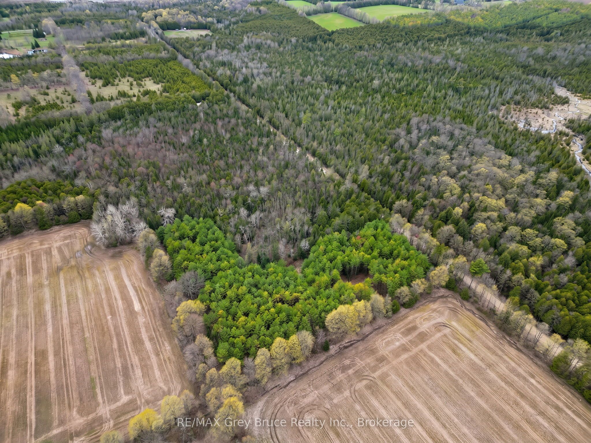 523782 Concession 12 Road Property Photo 10
