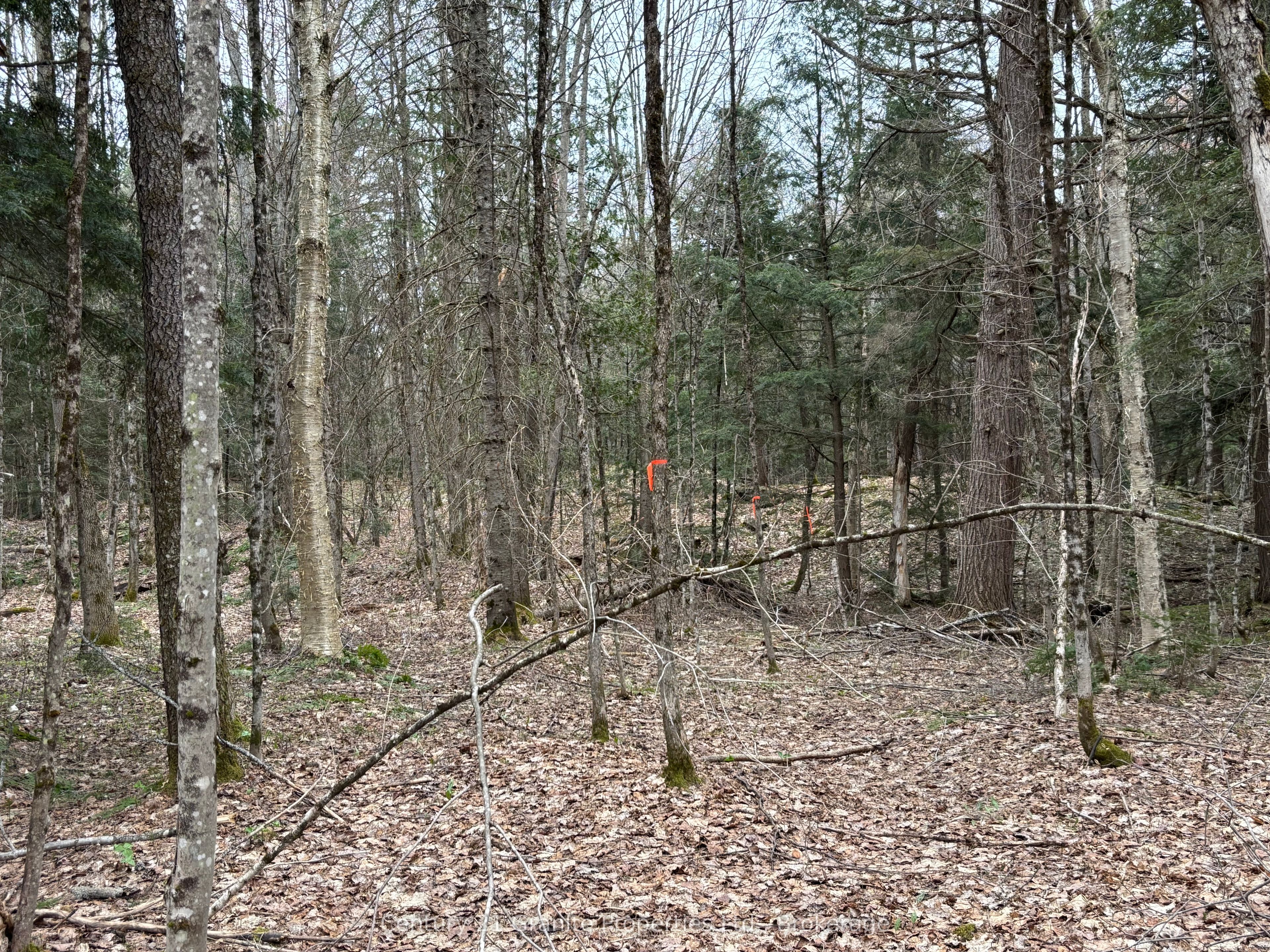 Lot 1 Loch Erne Road Property Photo 1