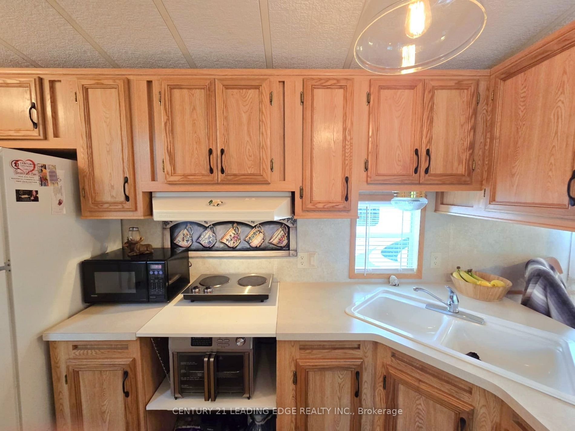 2152 County Road 36 177 Property Photo 10