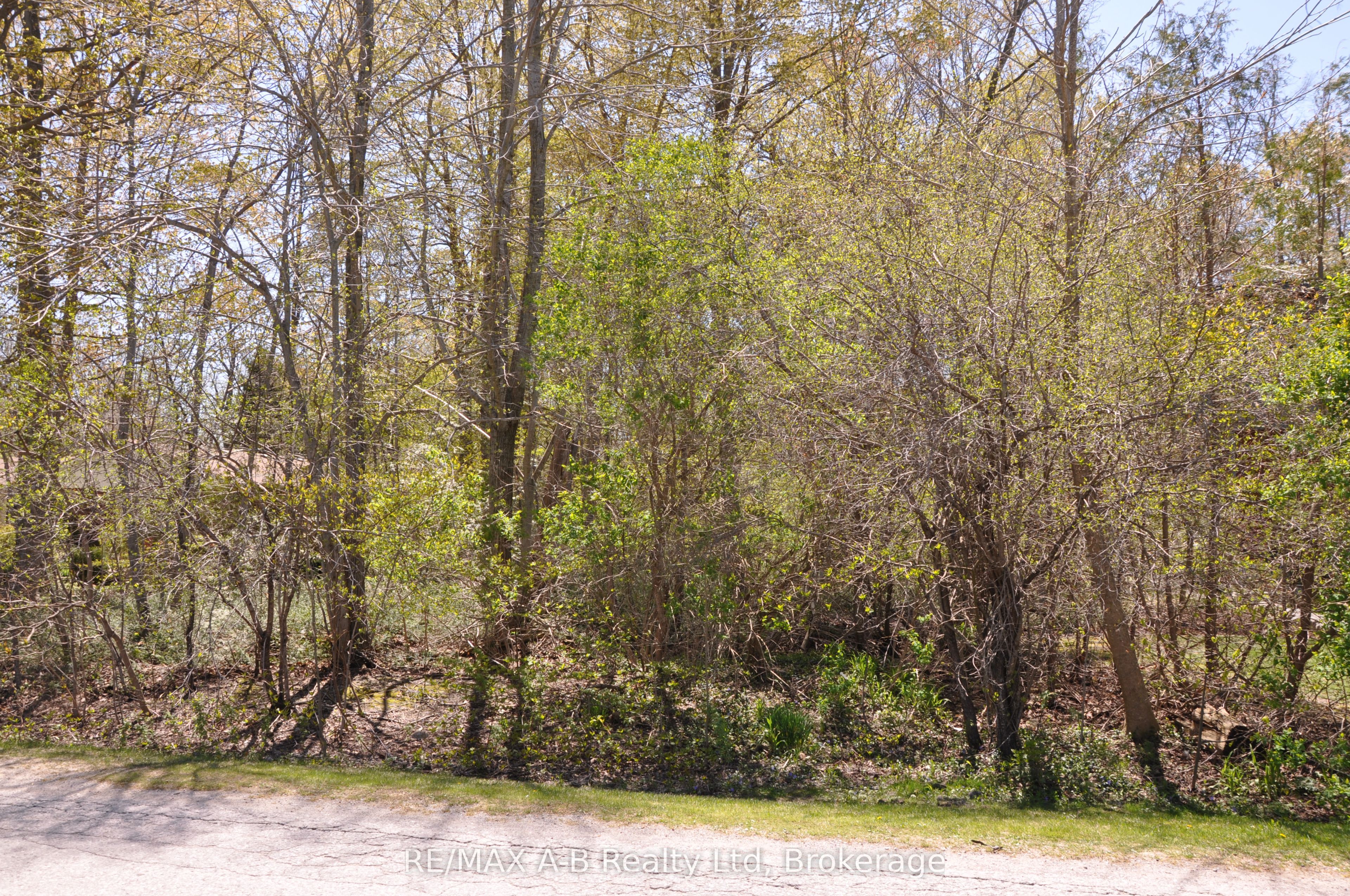 26 Cameron Street Property Photo 5