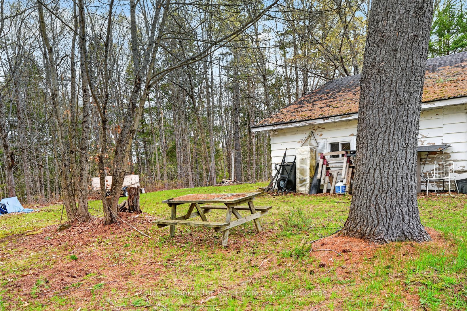 1657 Houseys Rapids Road Property Photo 27