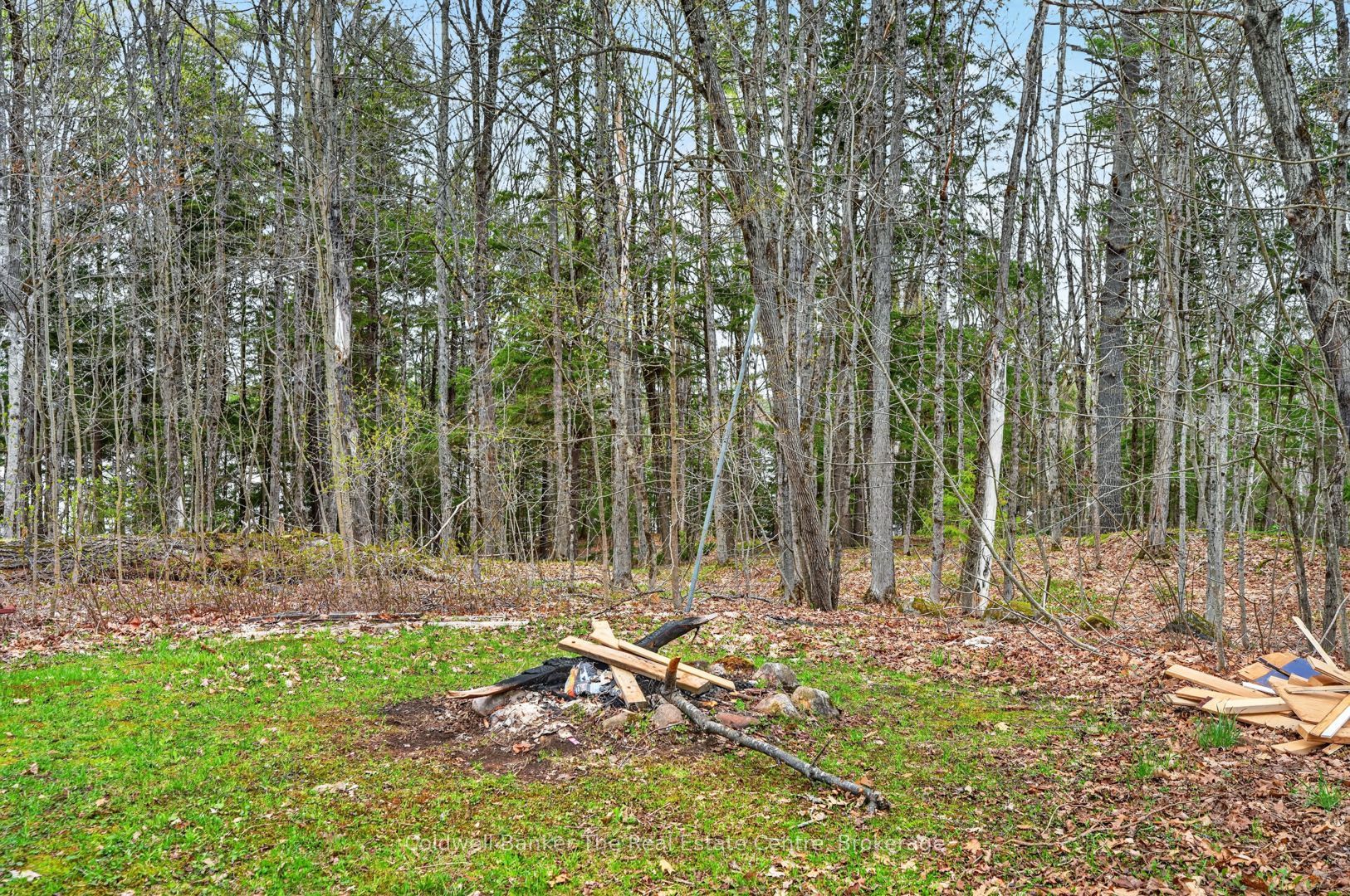 1657 Houseys Rapids Road Property Photo 28