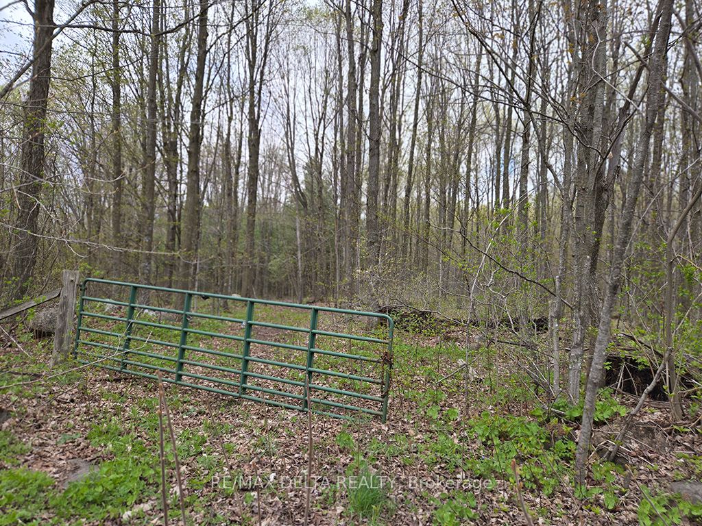 000 Concession 5 Road Property Photo 1