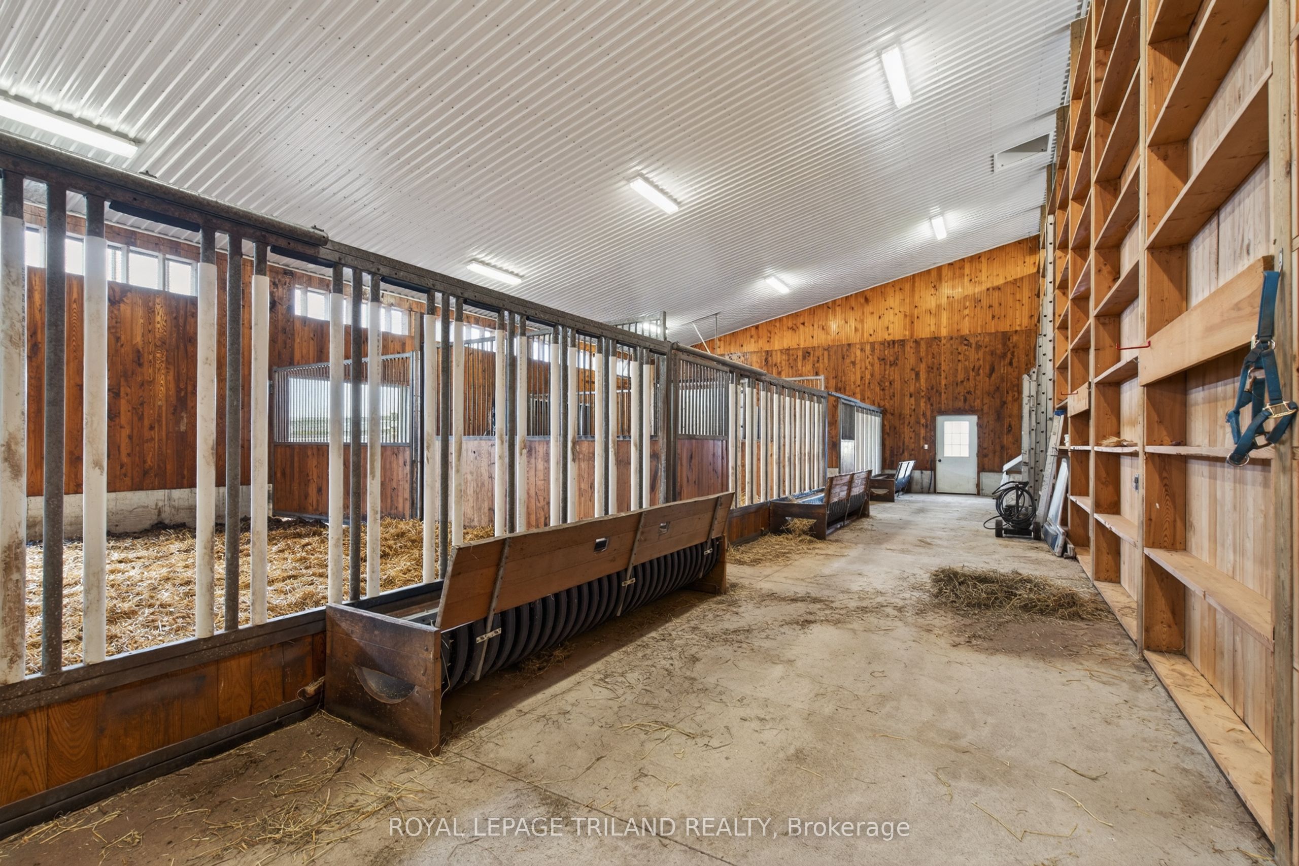 37612 John Wise Line Property Photo 44