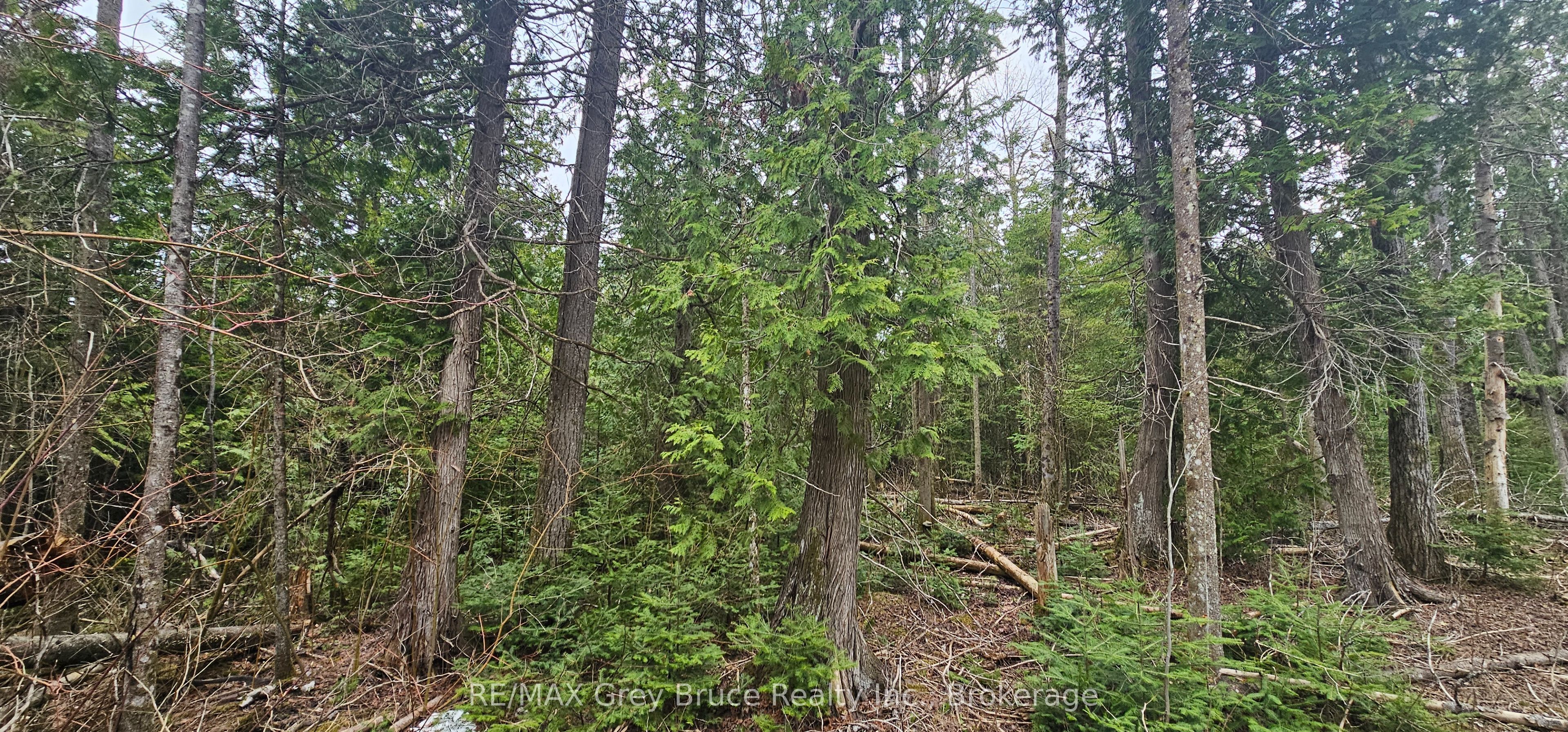 43 Hardwick Cove Road Property Photo 6