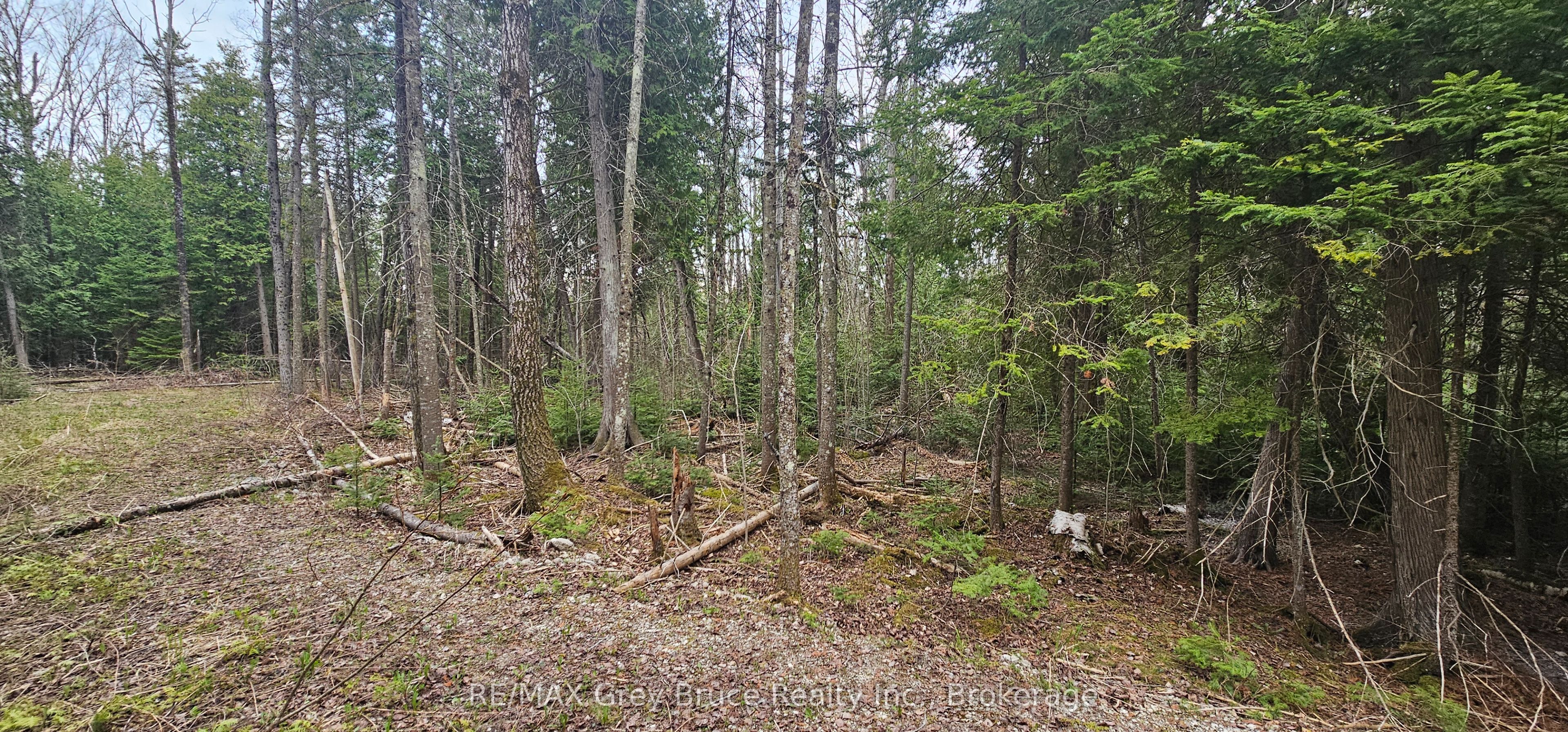 43 Hardwick Cove Road Property Photo 7