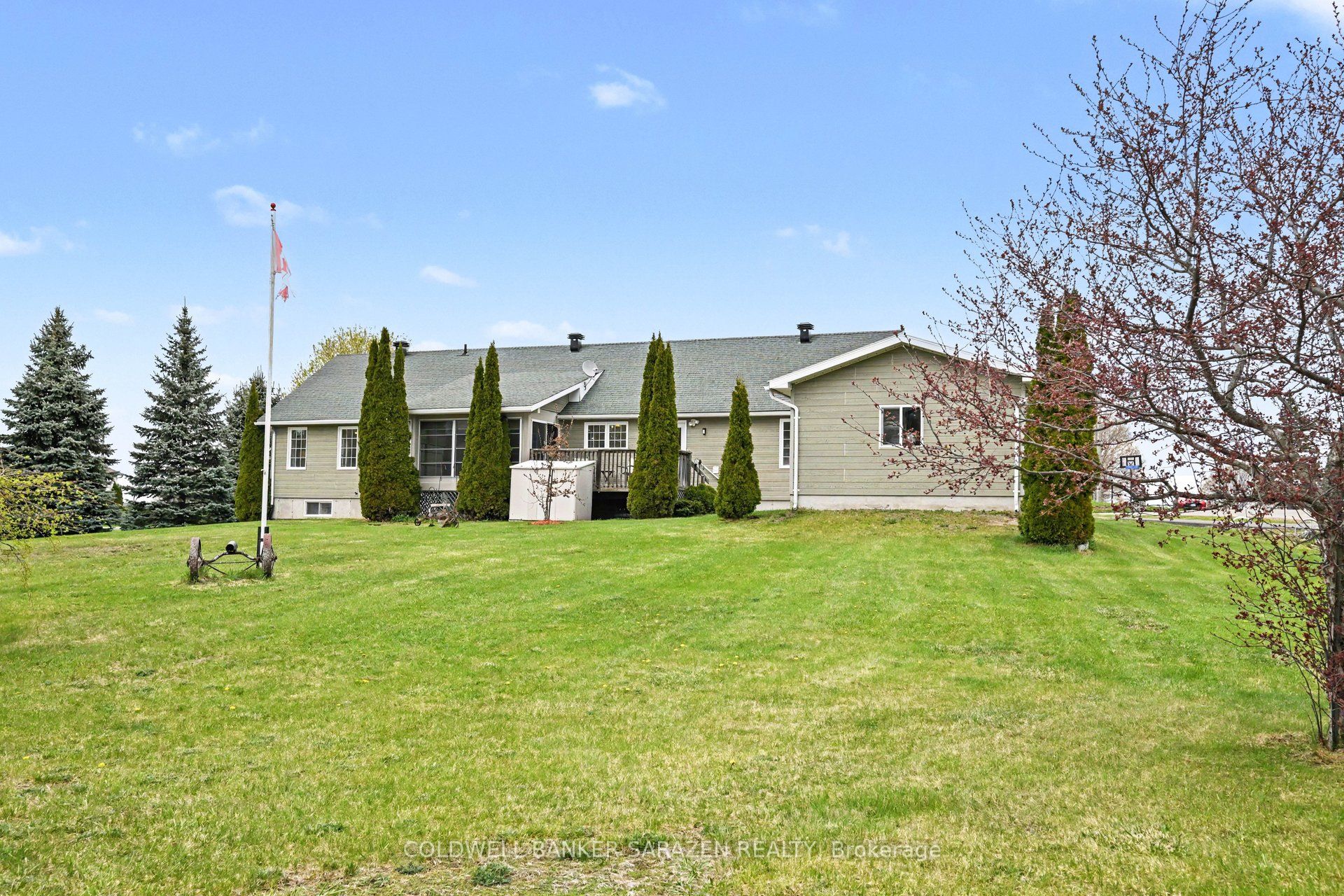 162 Erindale Avenue Property Photo 6