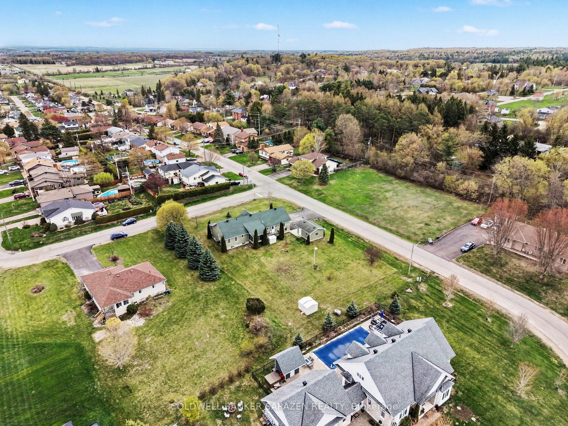 162 Erindale Avenue Property Photo 42