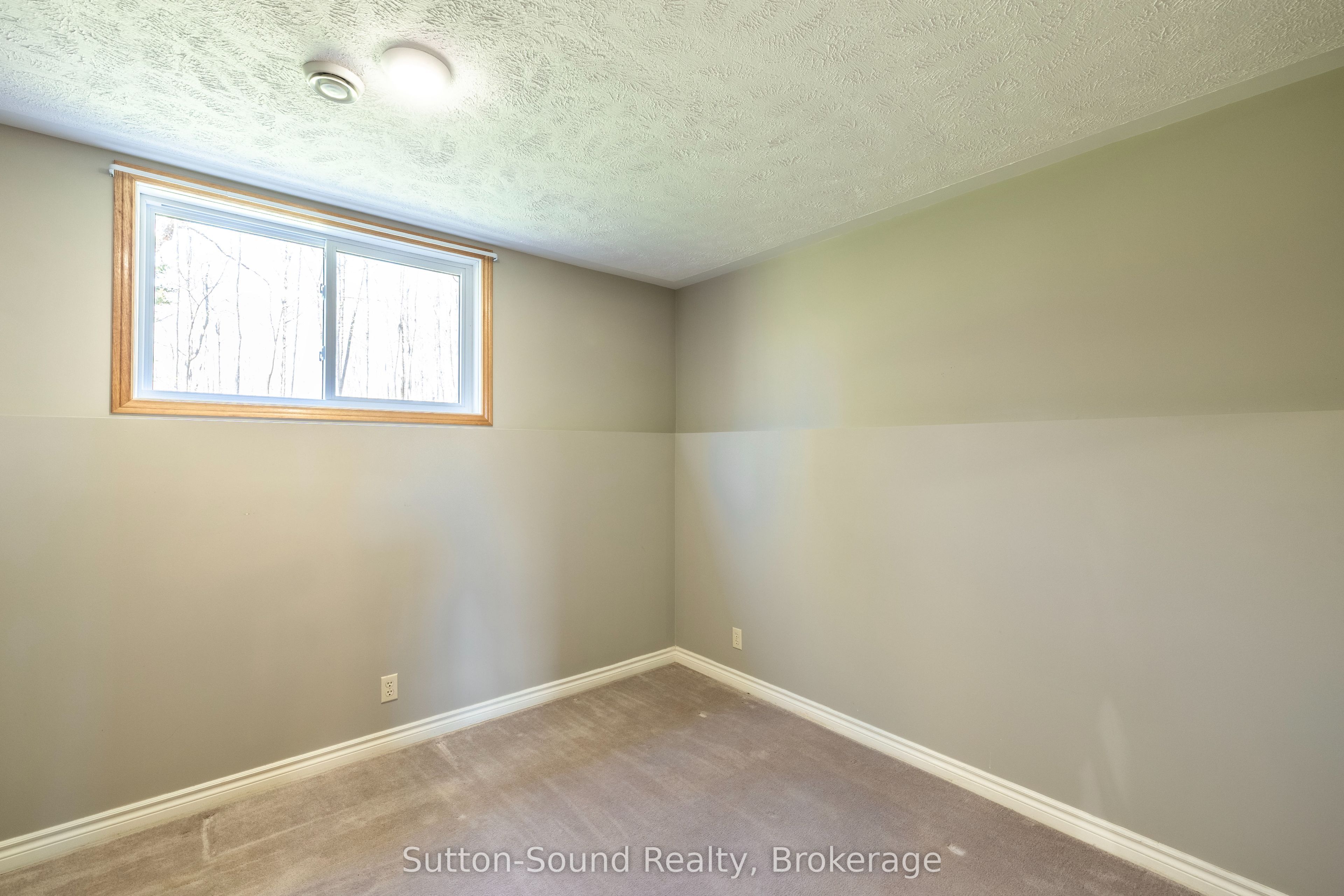 126 Alexandria Street Property Photo 19