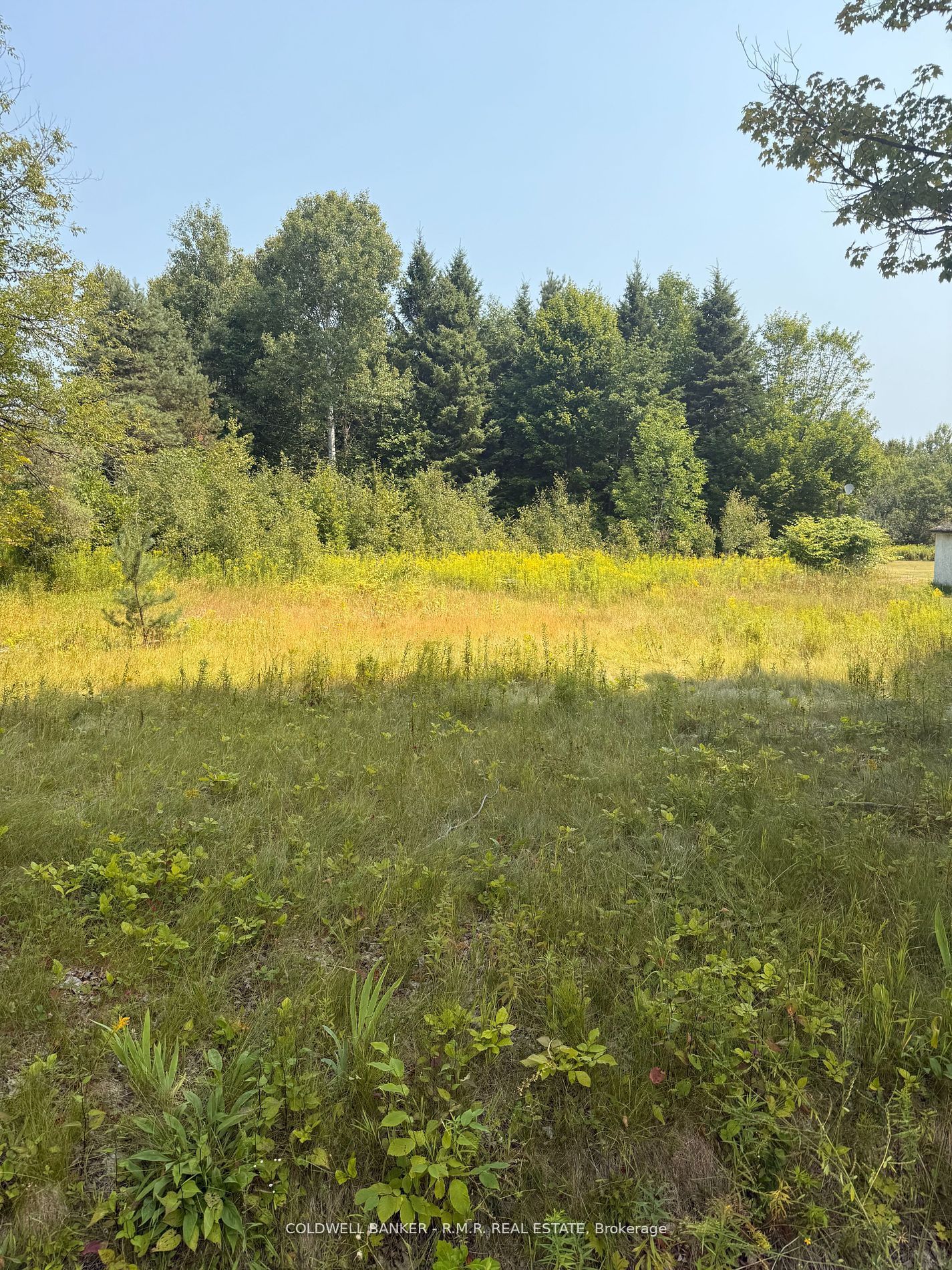 3995 Boulter Road Property Photo 1