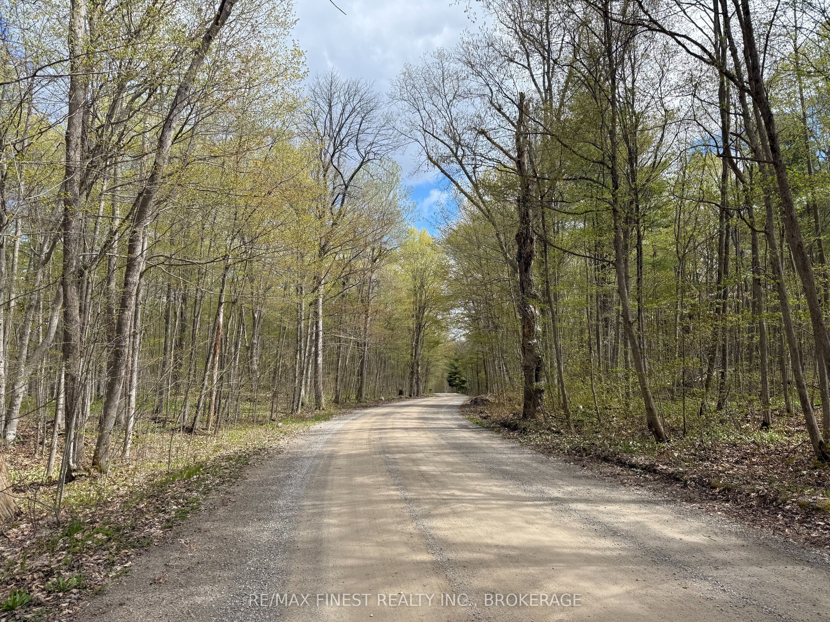 162 Black Rapids Road Property Photo 1