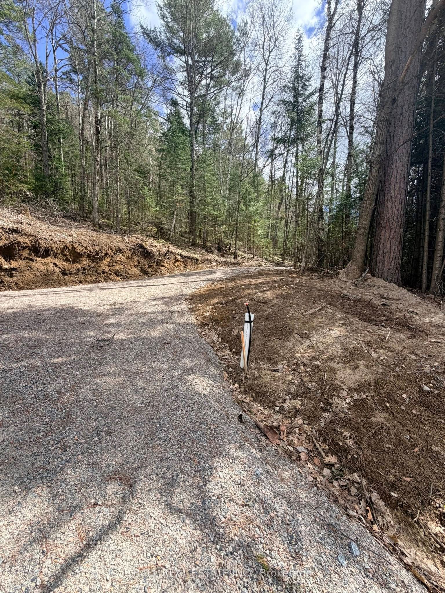 0 Highway 62 N Property Photo 3
