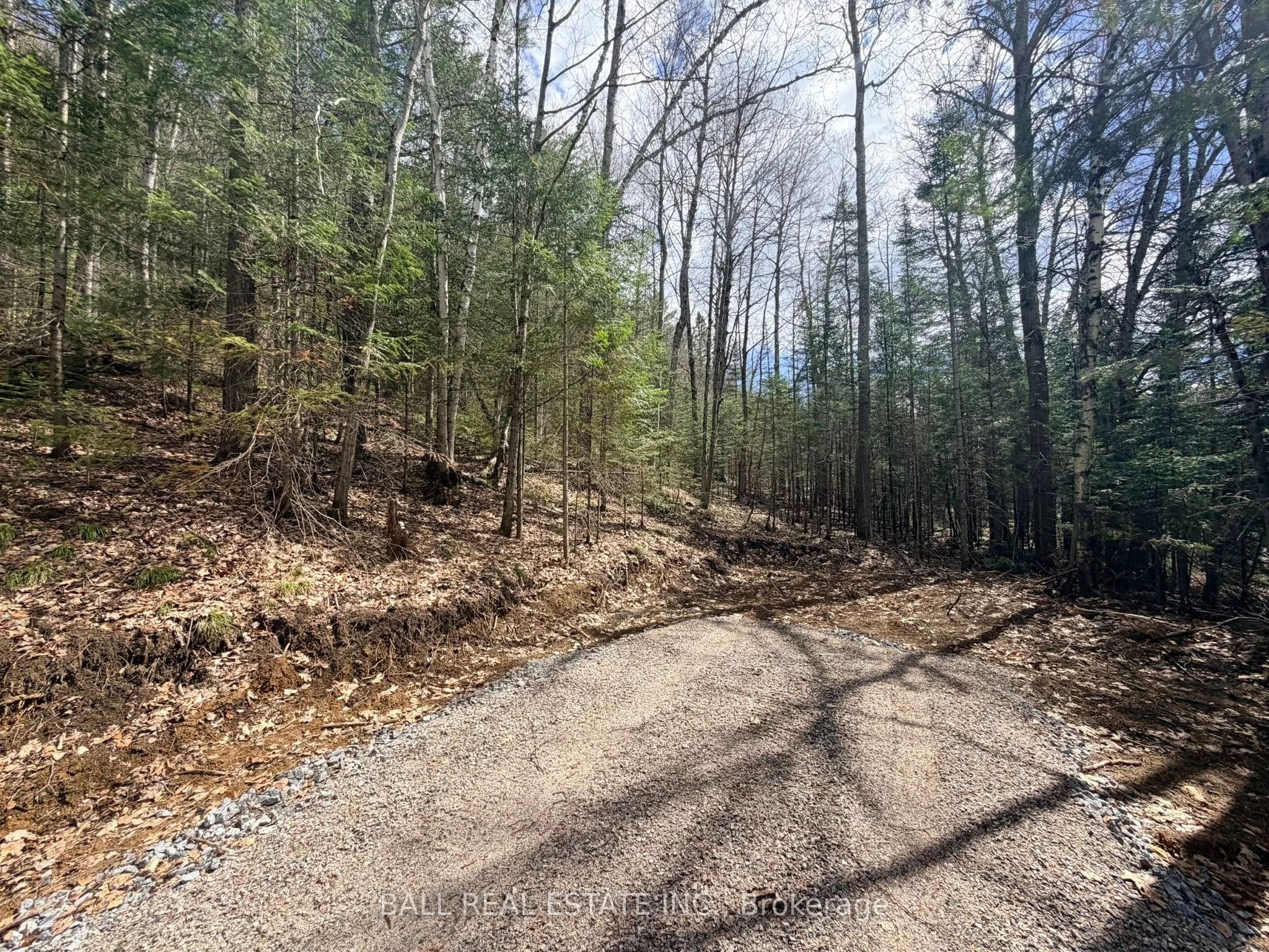 0 Highway 62 N Property Photo 5