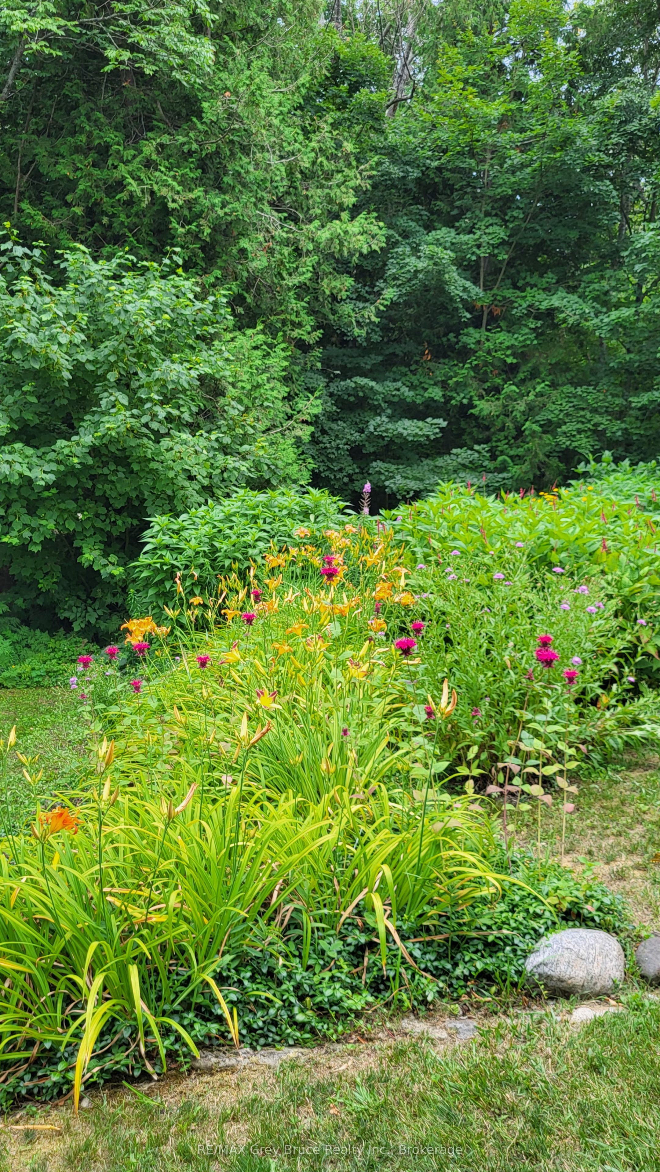 287 Rush Cove Road Property Photo 46