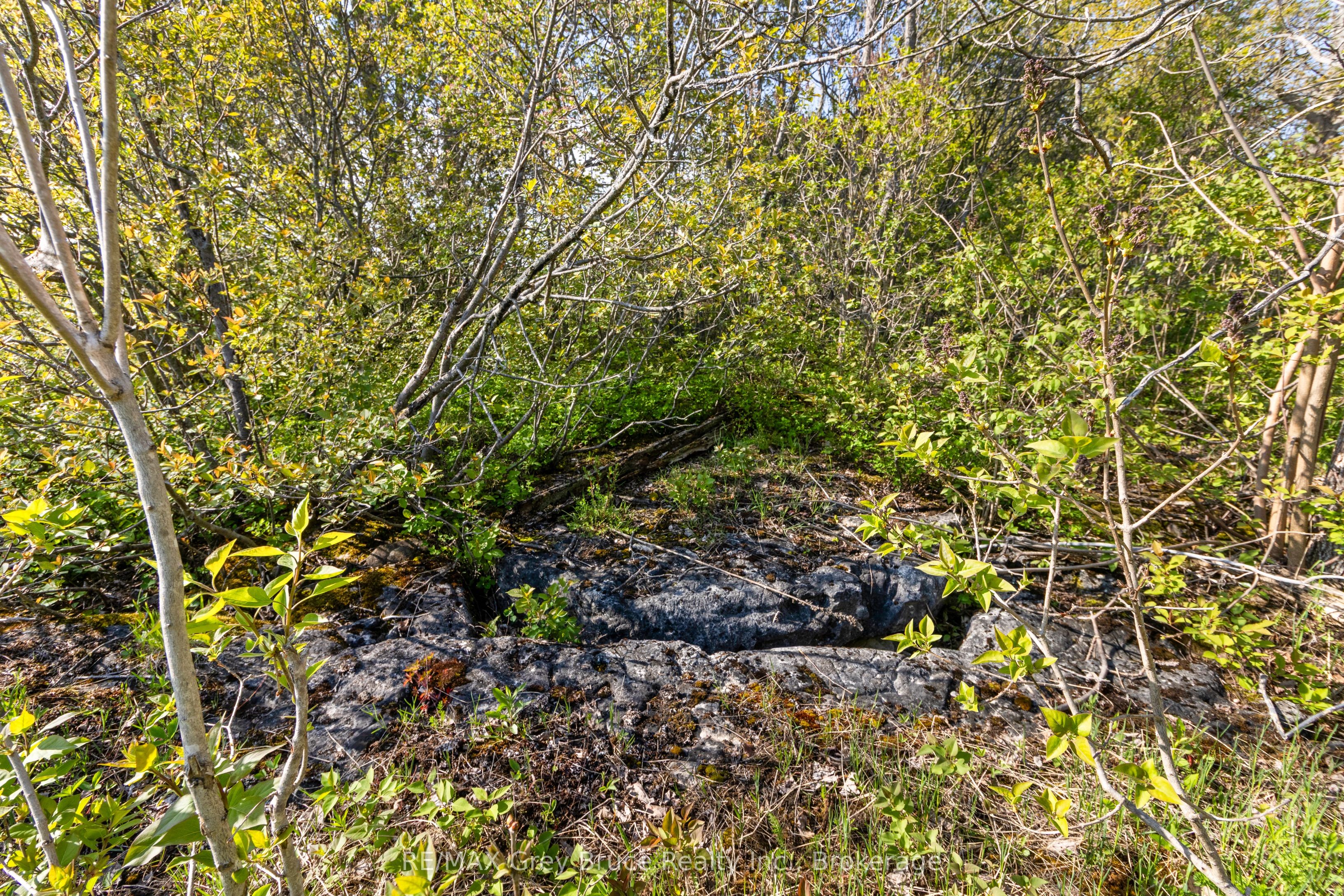 Part 1 Cape Chin North Road Property Photo 23
