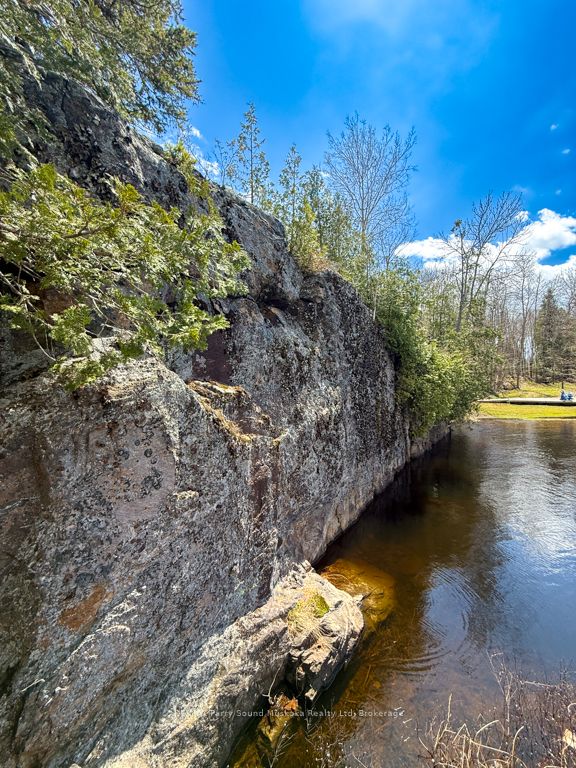 43 Bears Paw W Property Photo 28