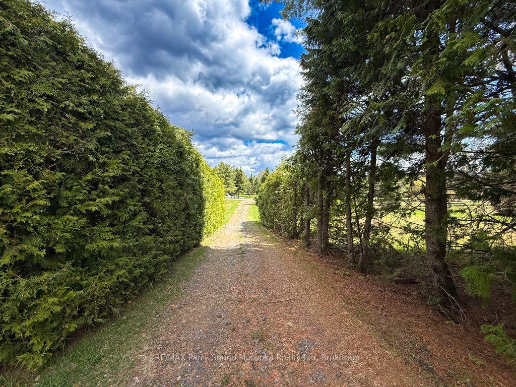 43 Bears Paw W Property Photo 32